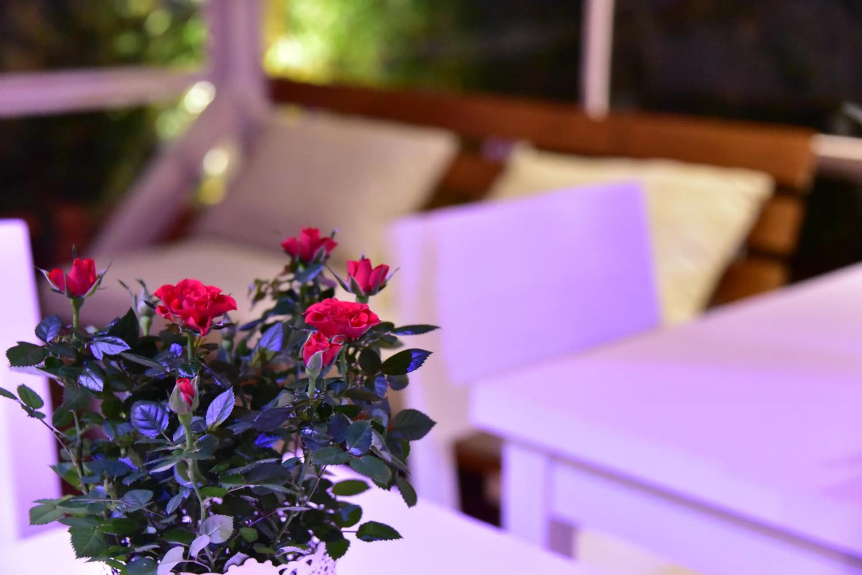 Balcony/Terrace in Casa Martini