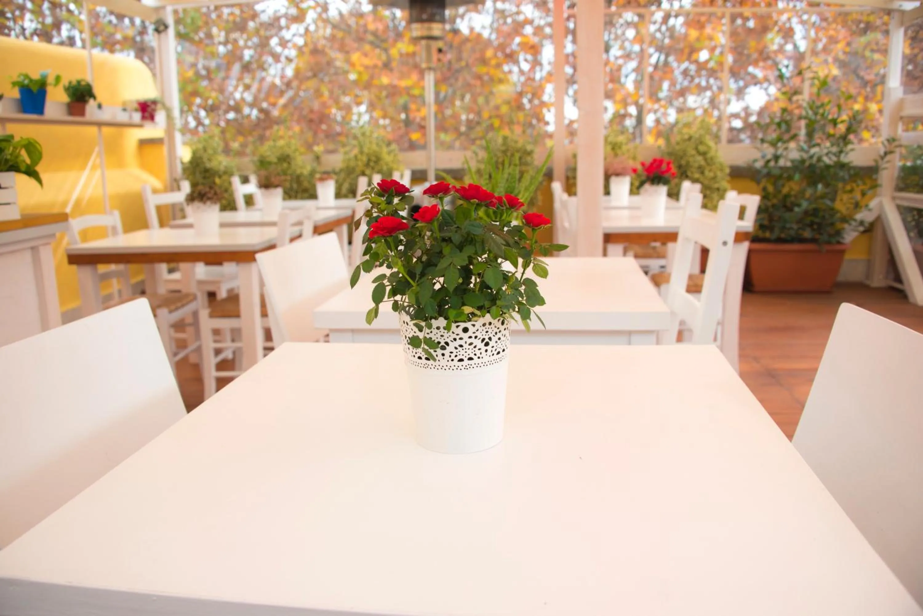 Balcony/Terrace in Casa Martini