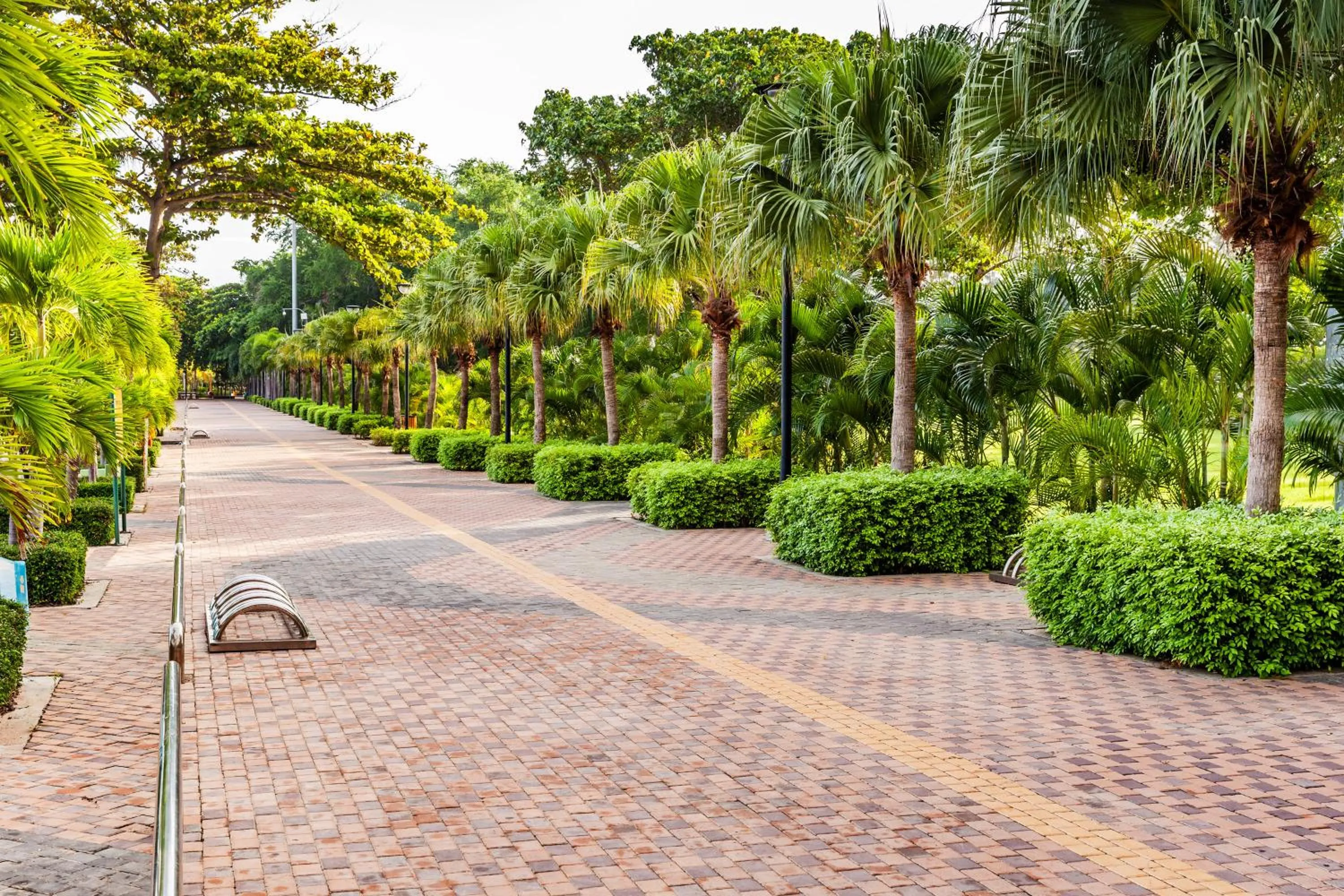 Garden in Cholchan Pattaya Beach Resort - SHA Extra Plus