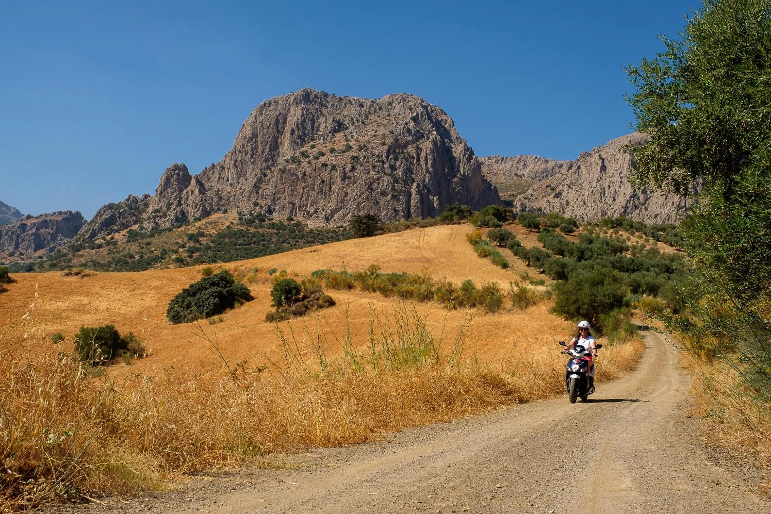 Area and facilities in Finca Gordo