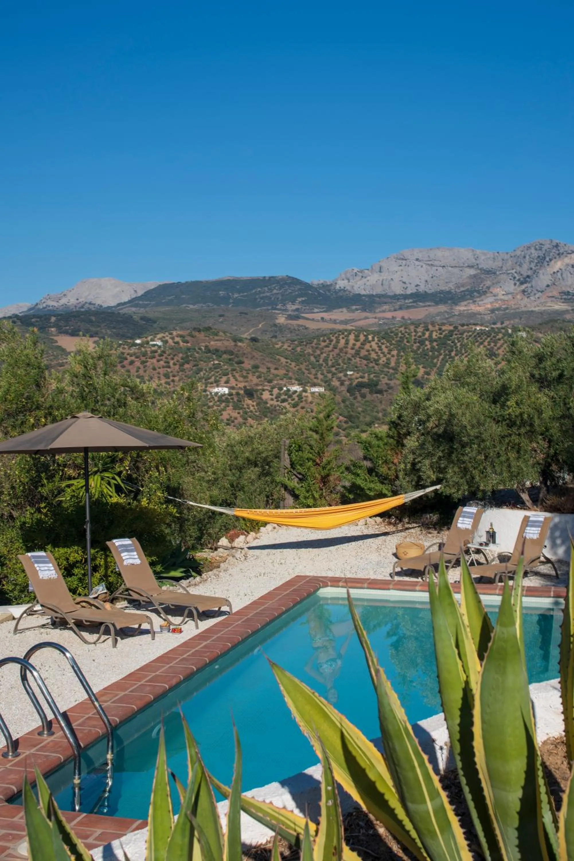 View (from property/room) in Finca Gordo
