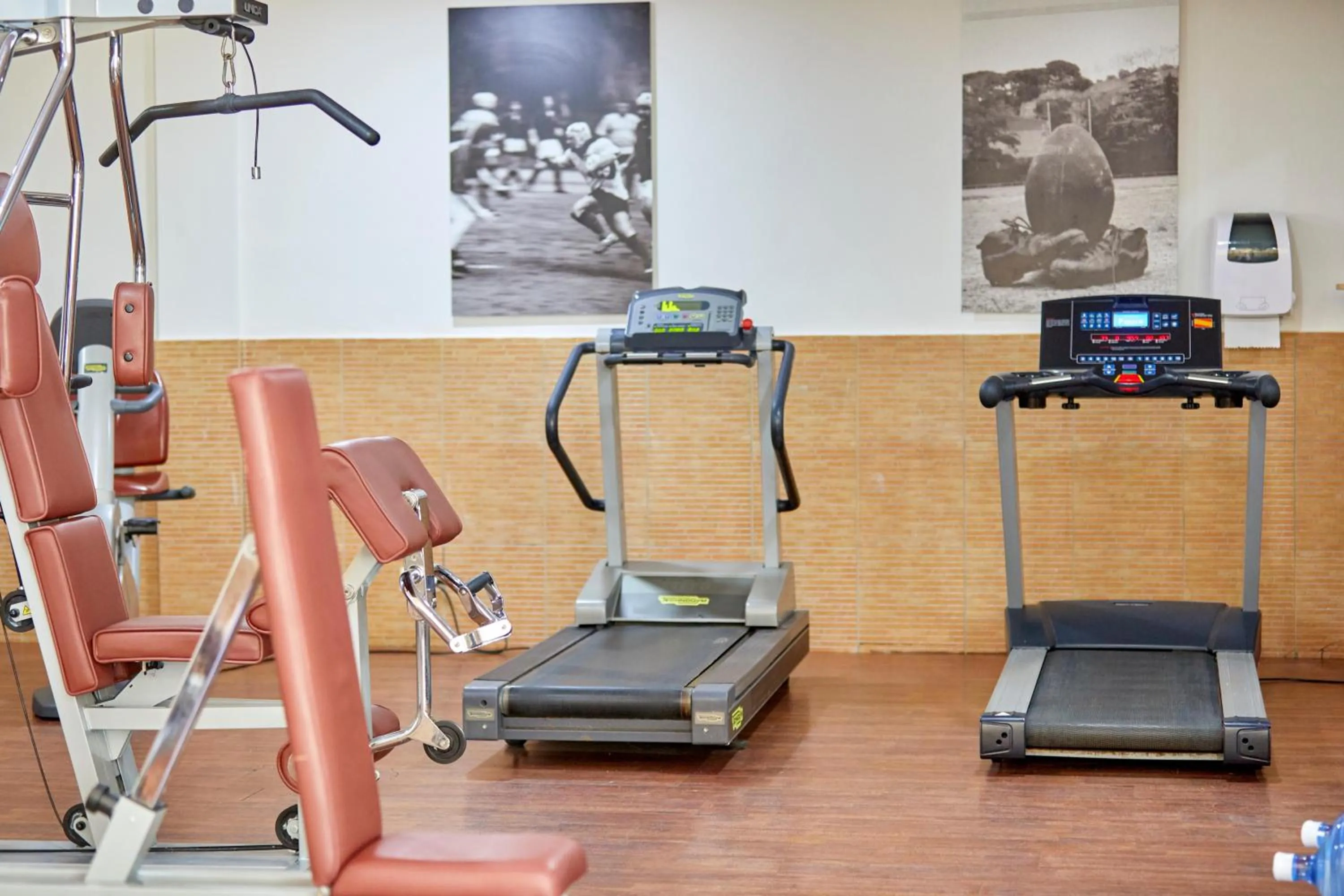 Activities in Zafiro Can Picafort