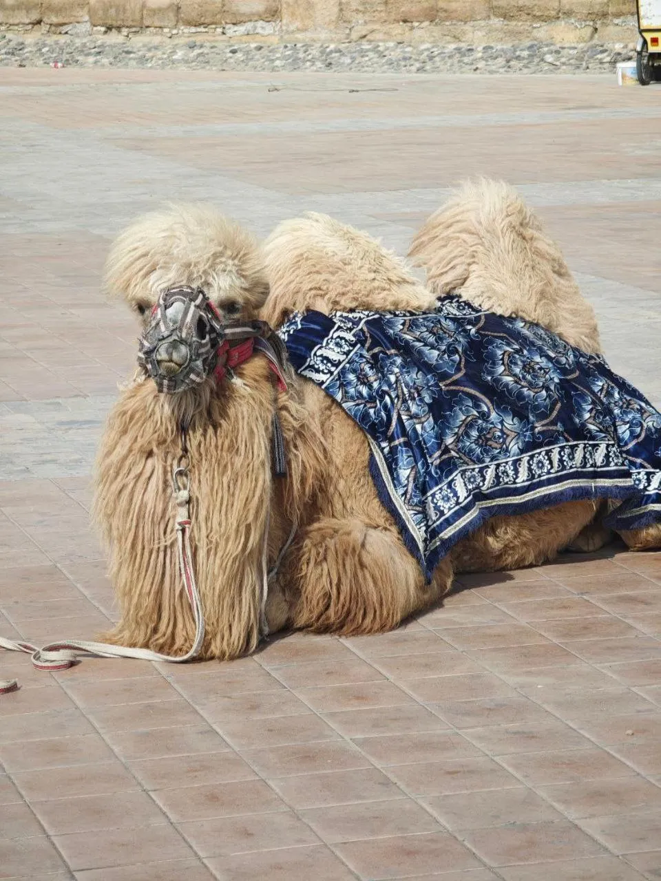 May weather Resort Family G House