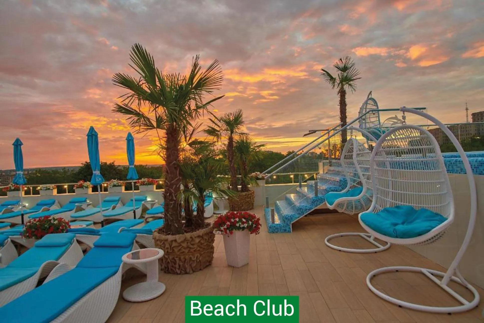 Hotel & Spa NEMO with dolphins