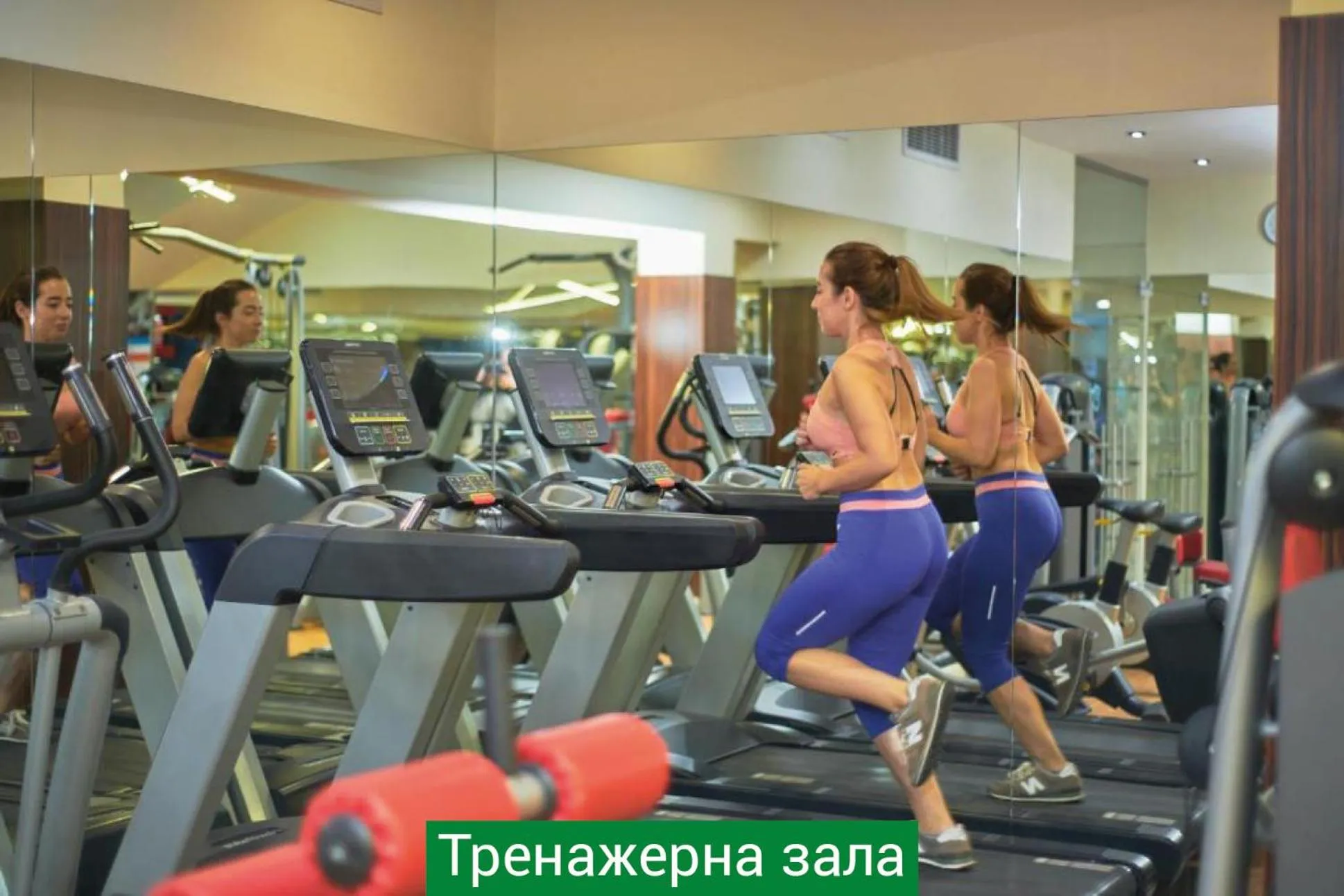 Hotel & Spa NEMO with dolphins