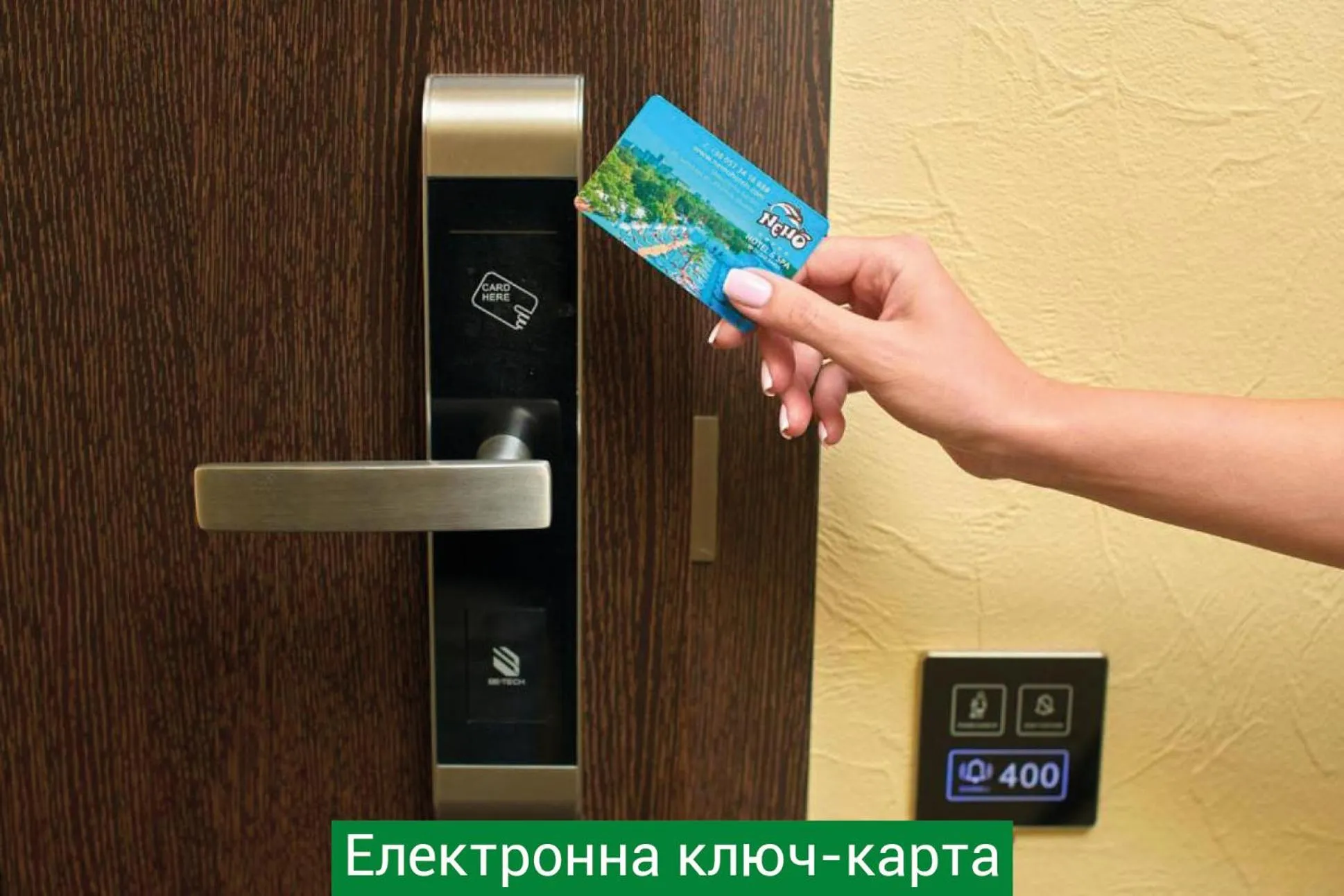 Hotel & Spa NEMO with dolphins