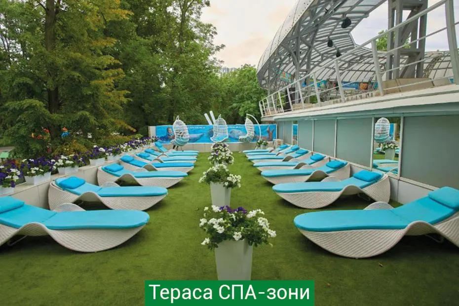 Day in Hotel & Spa NEMO with dolphins