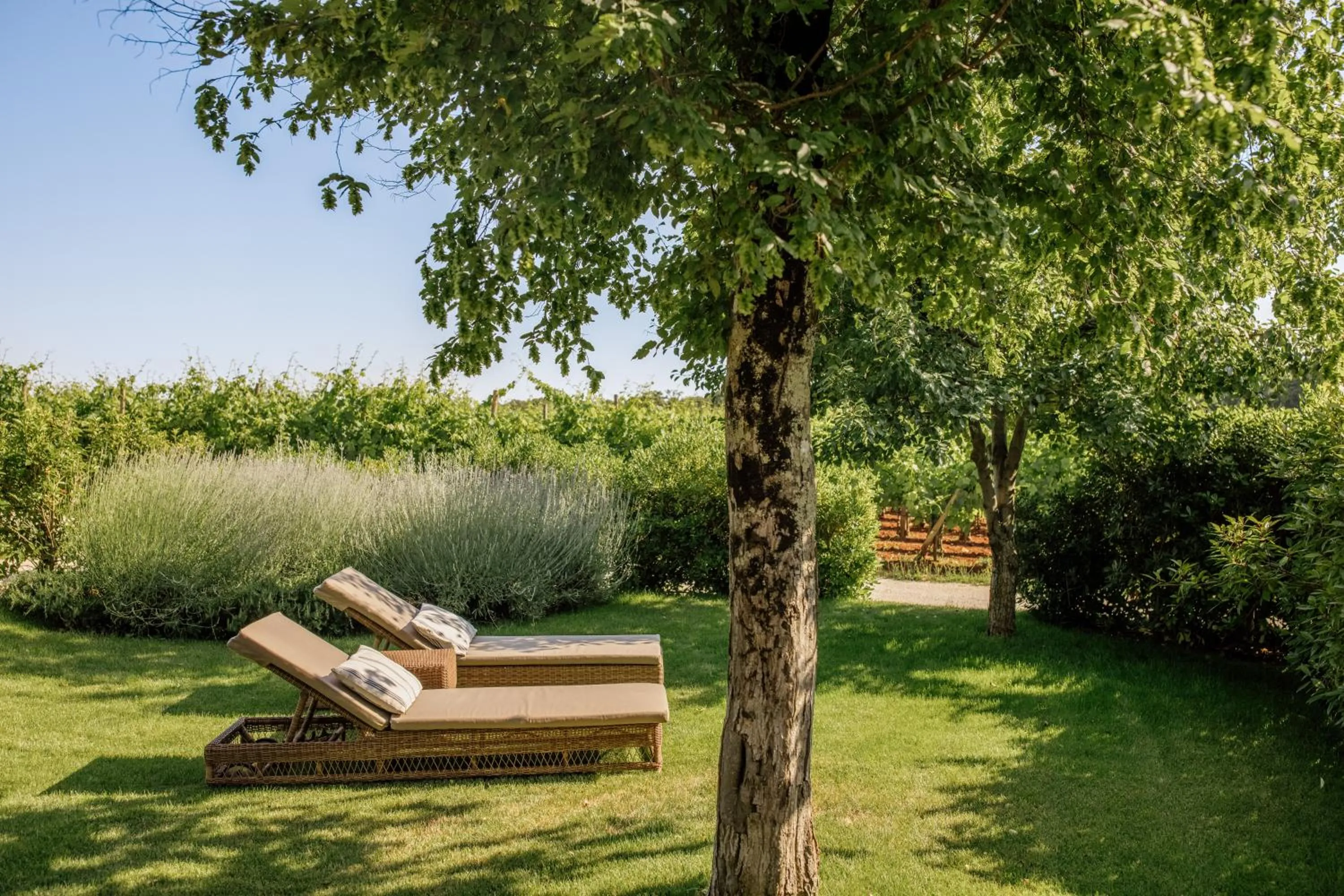 Garden in Meneghetti Wine Hotel and Winery - Relais & Chateaux