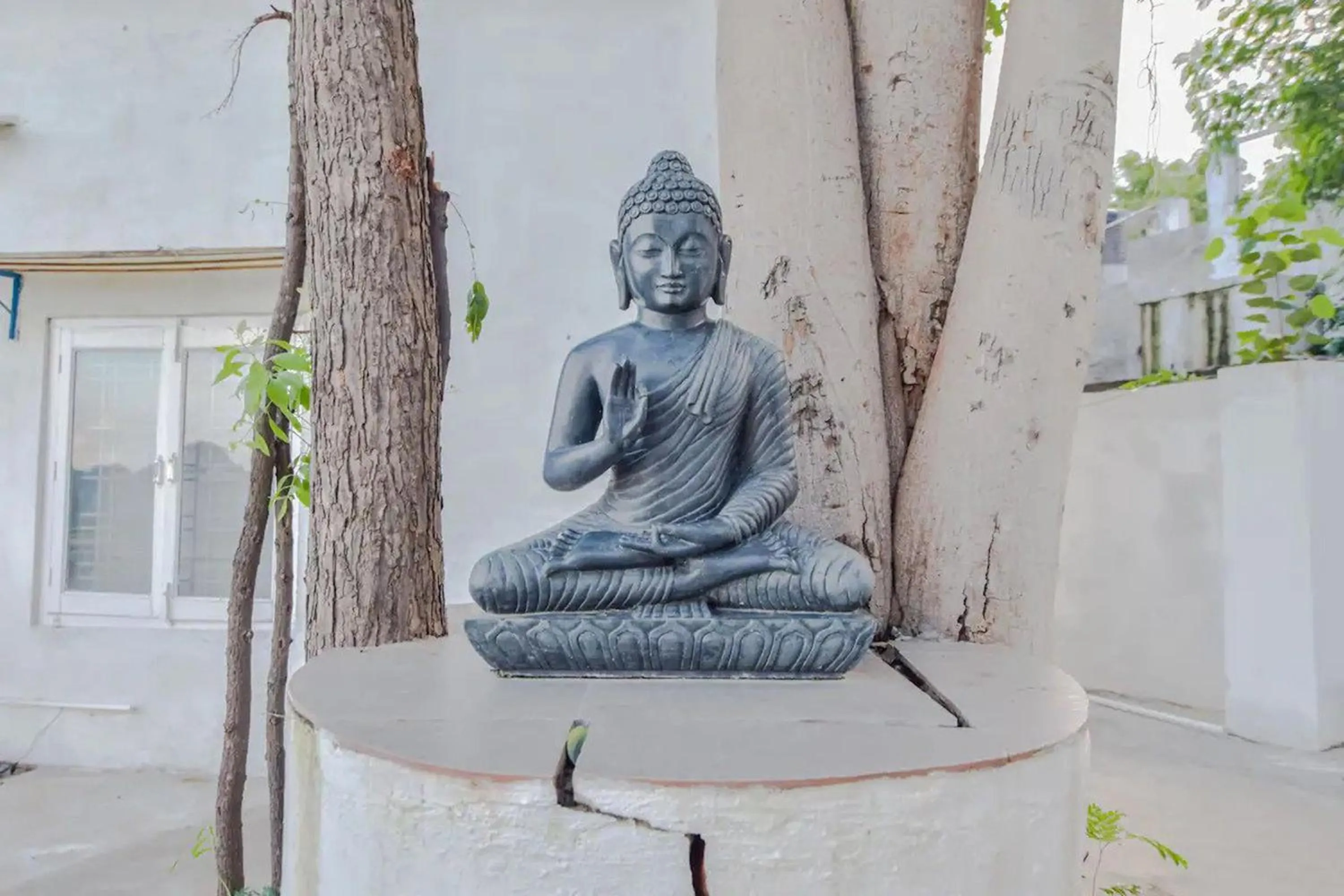 Devendragarh Palace - Luxury Paying Guest House