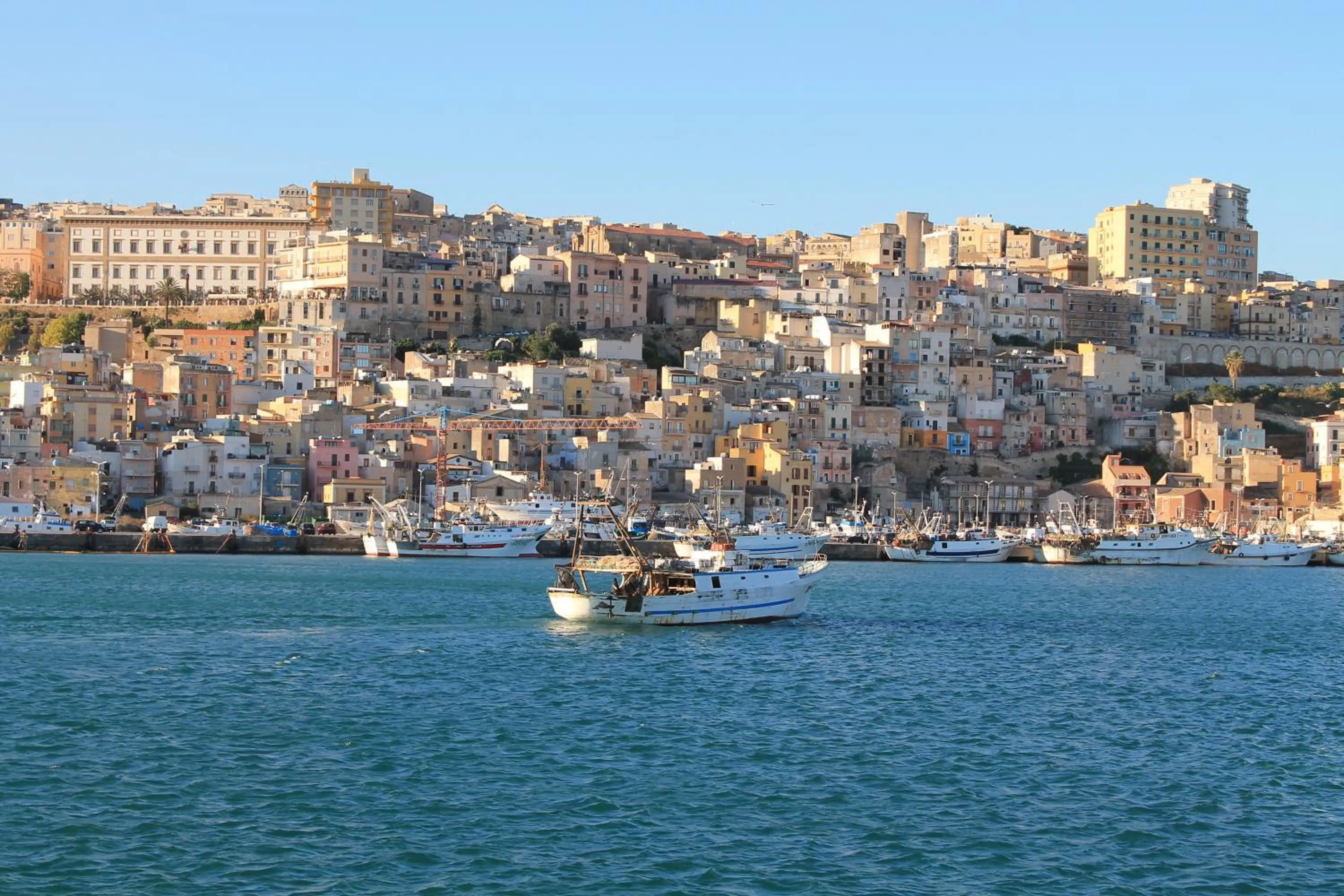 House surrounded by olive trees