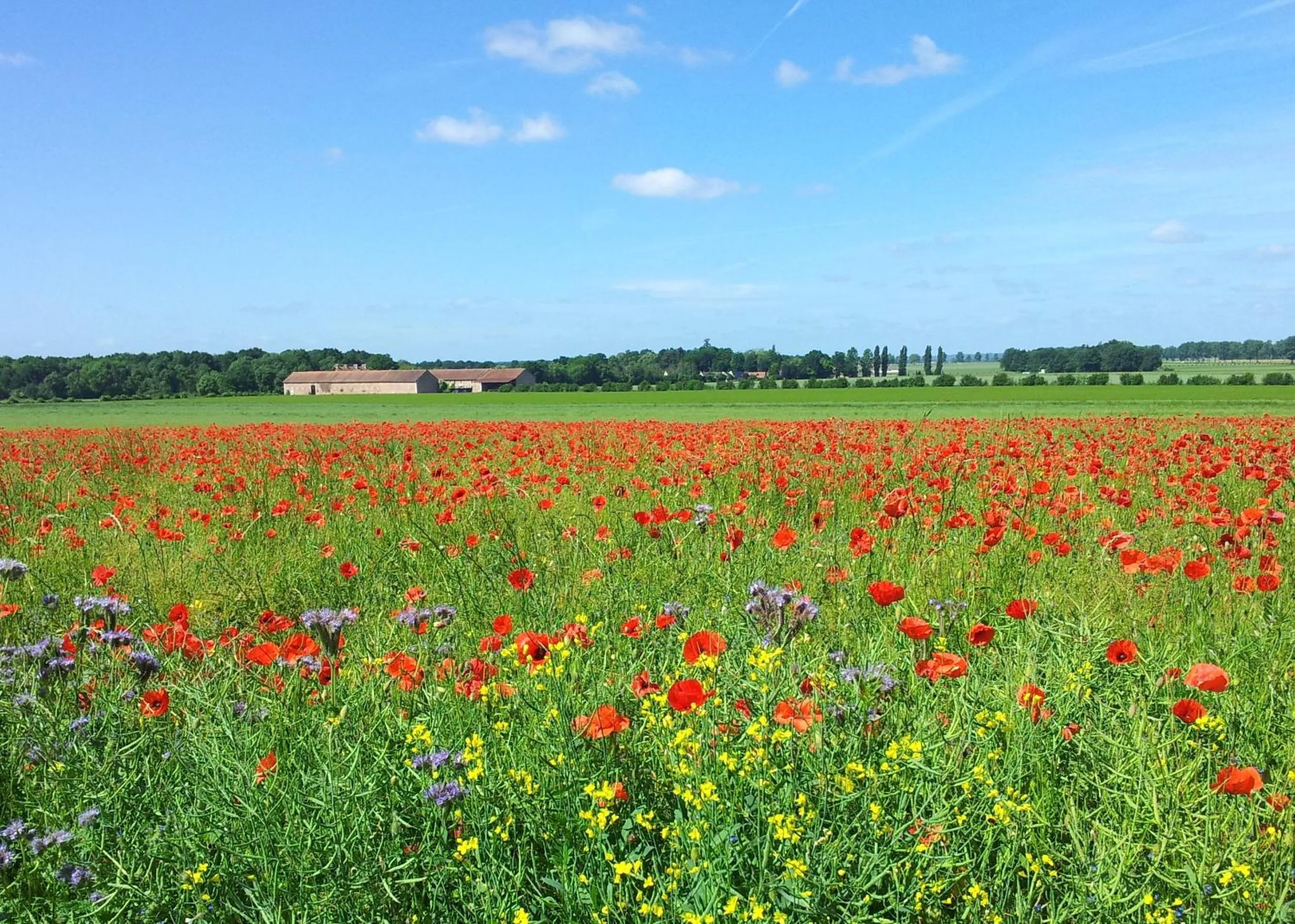 Natural landscape in Ferme d'Orsonville
