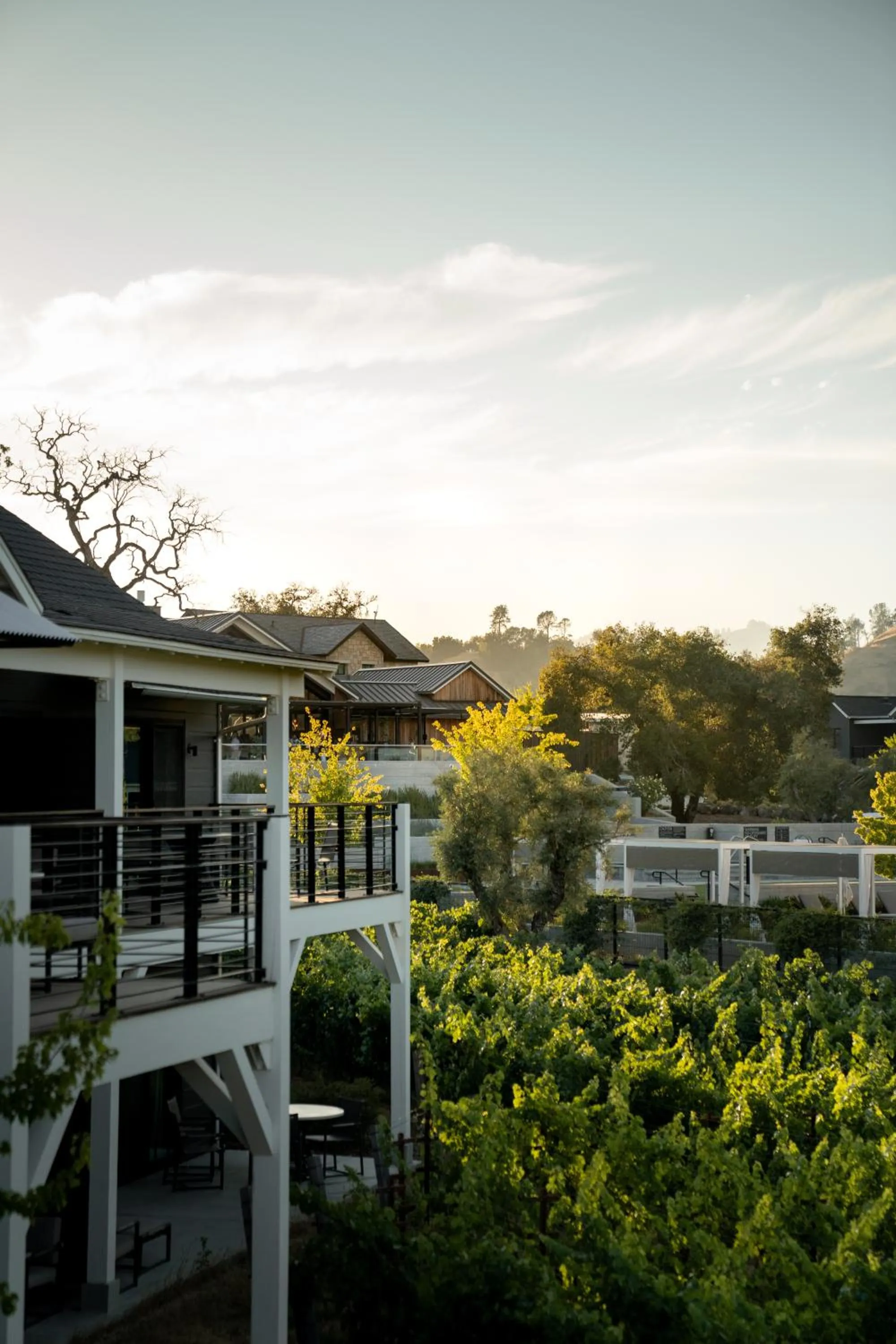 Garden in Four Seasons Resort Napa Valley