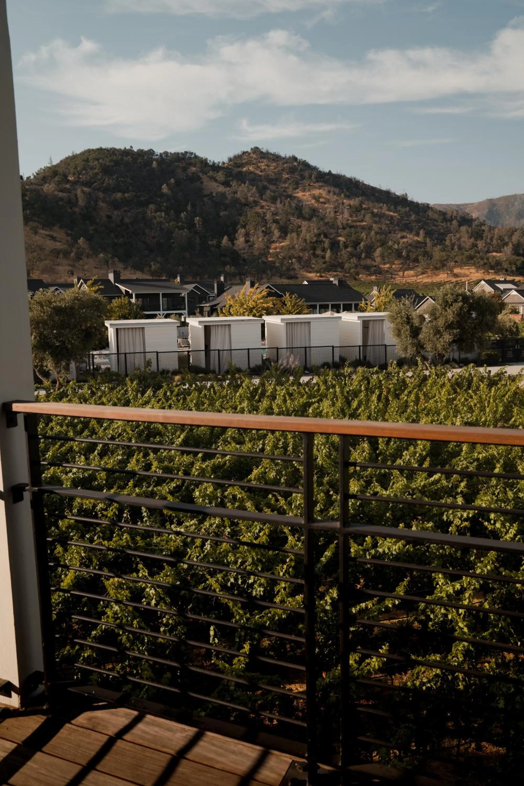 Natural landscape in Four Seasons Resort Napa Valley