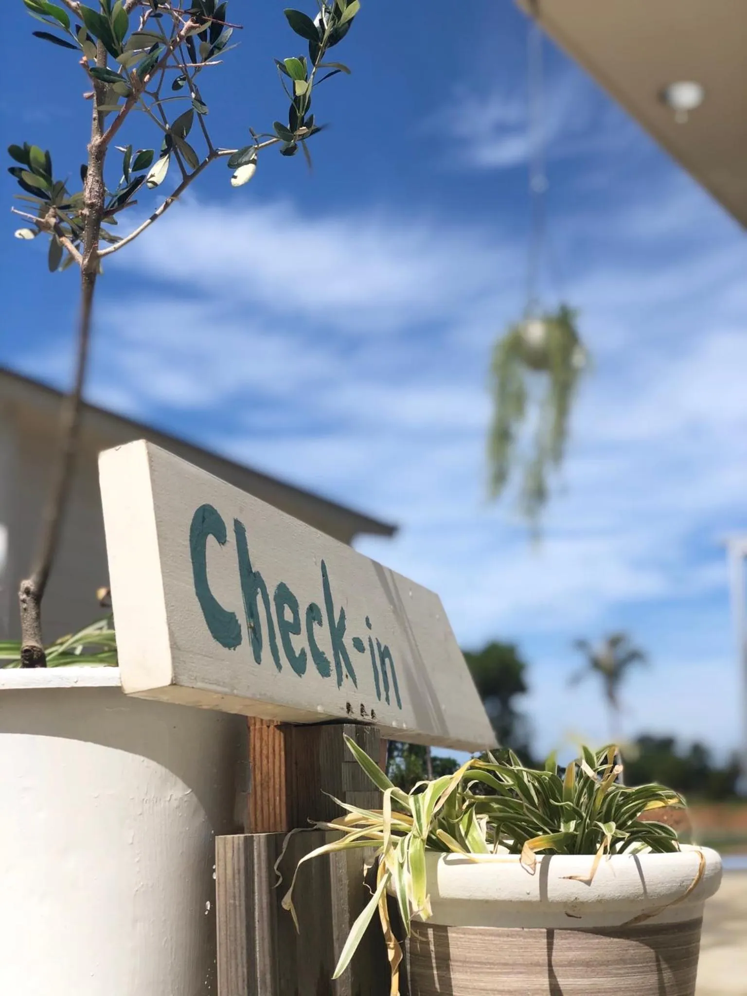 Property logo or sign in Guesthouse Koa