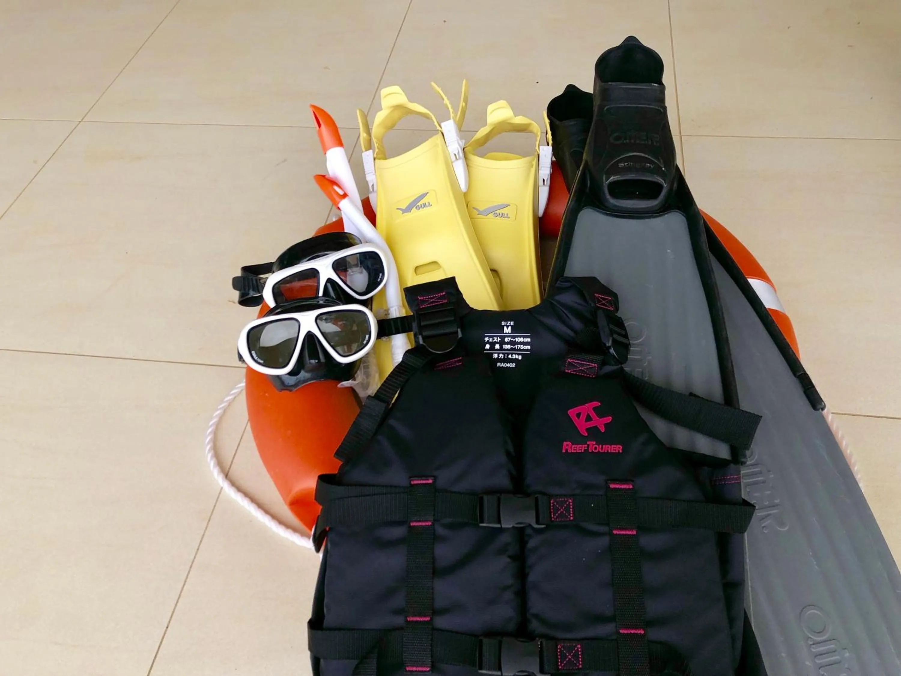 Snorkeling in Guesthouse Koa