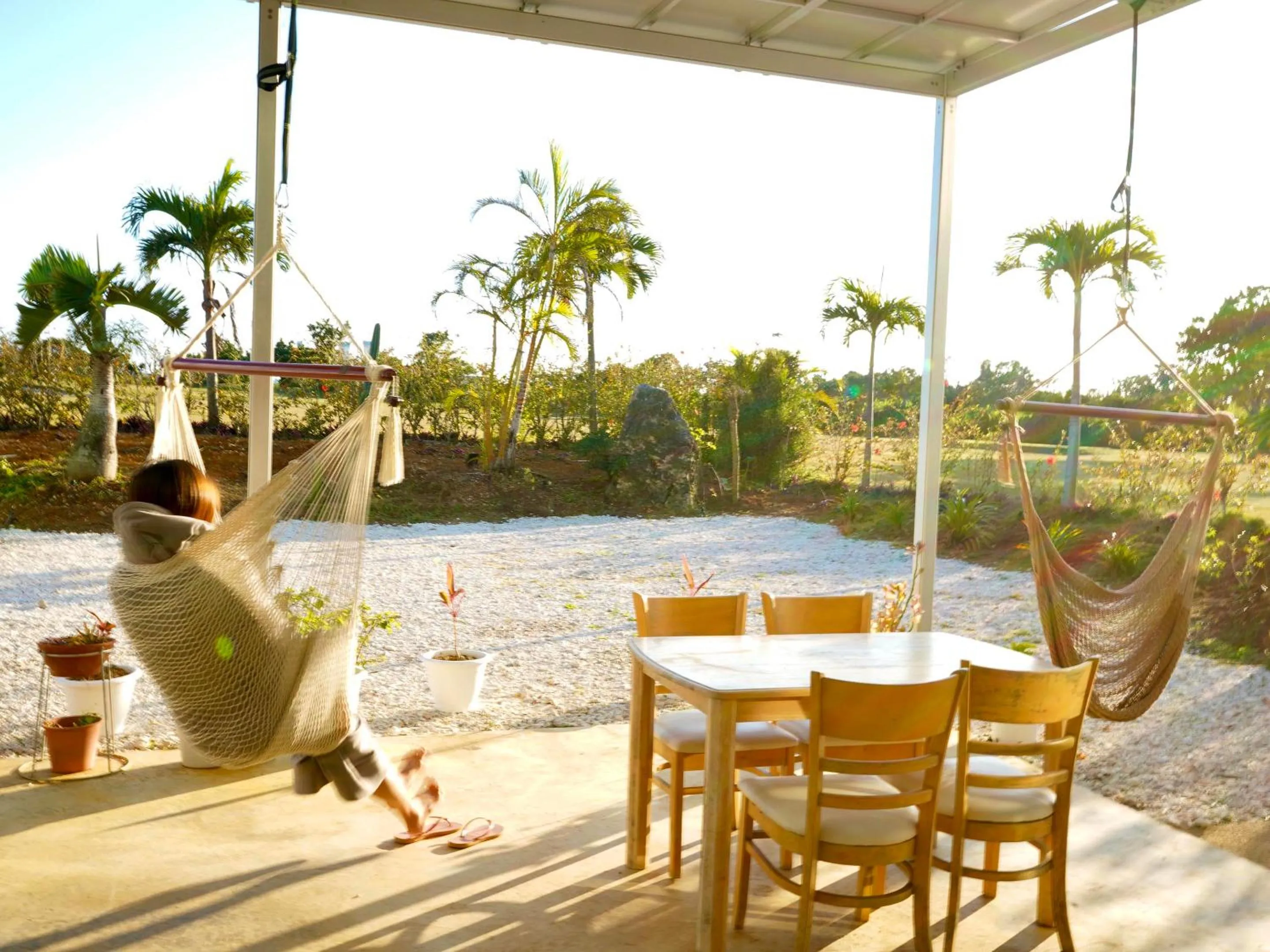 Garden in Guesthouse Koa