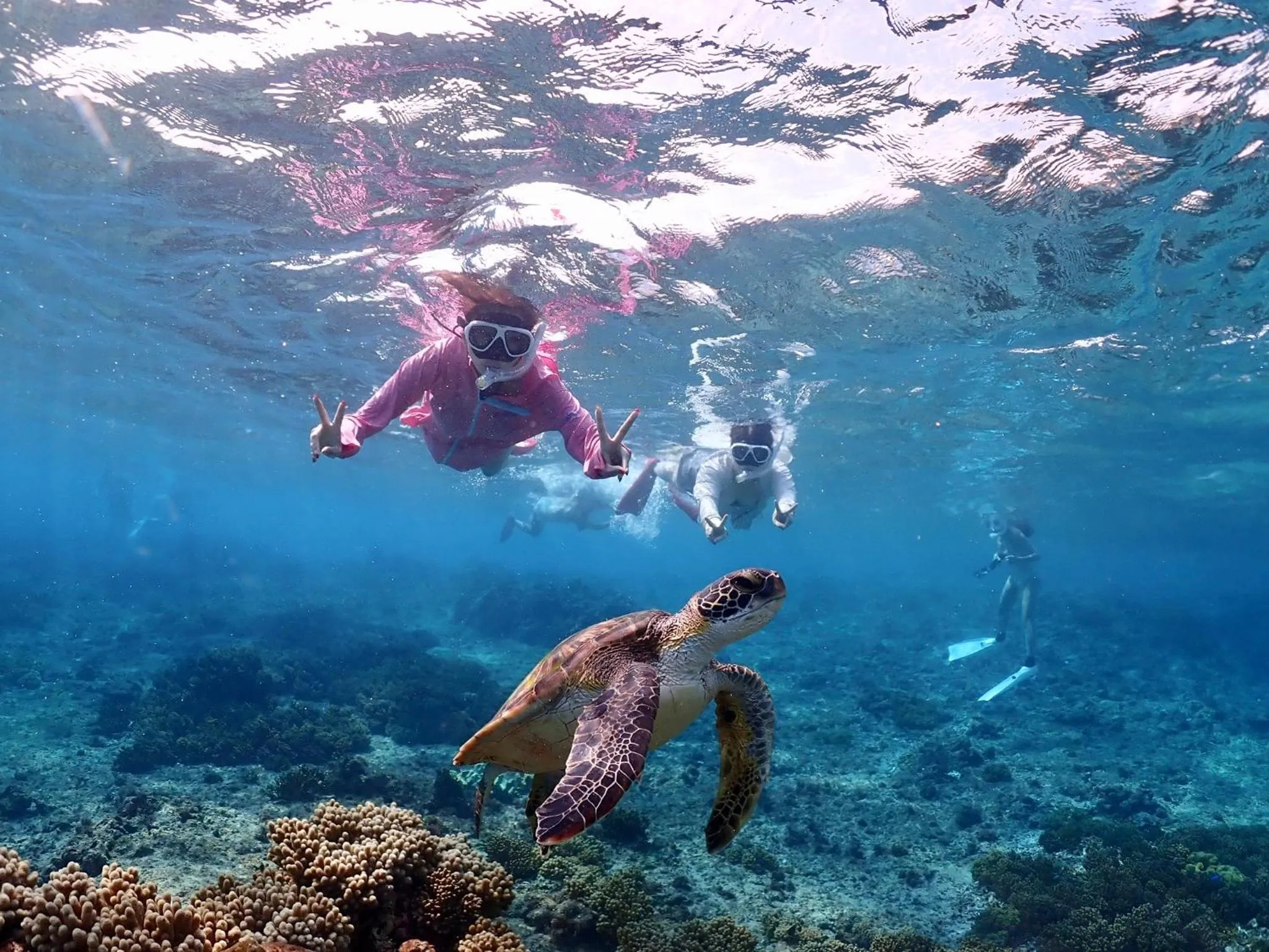 Activities in Guesthouse Koa