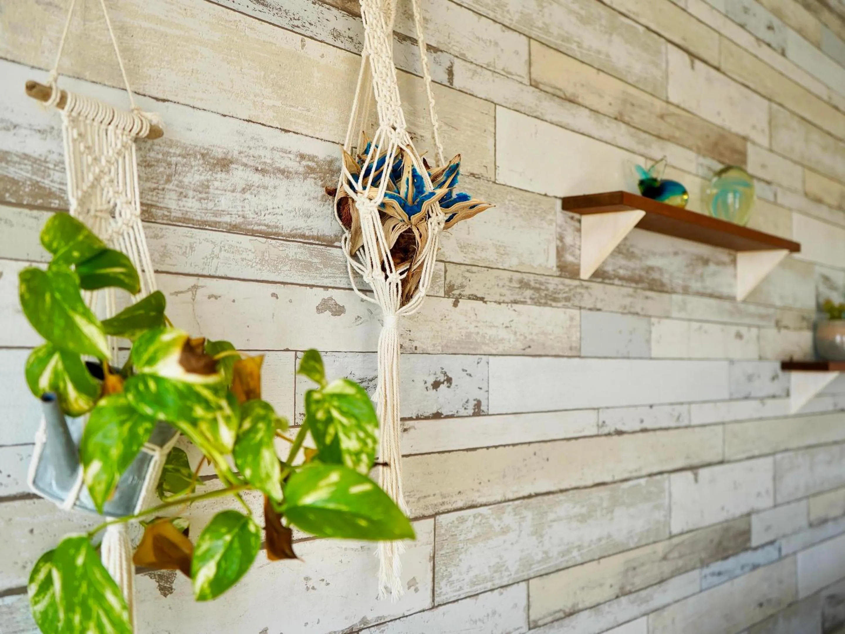 Decorative detail in Guesthouse Koa