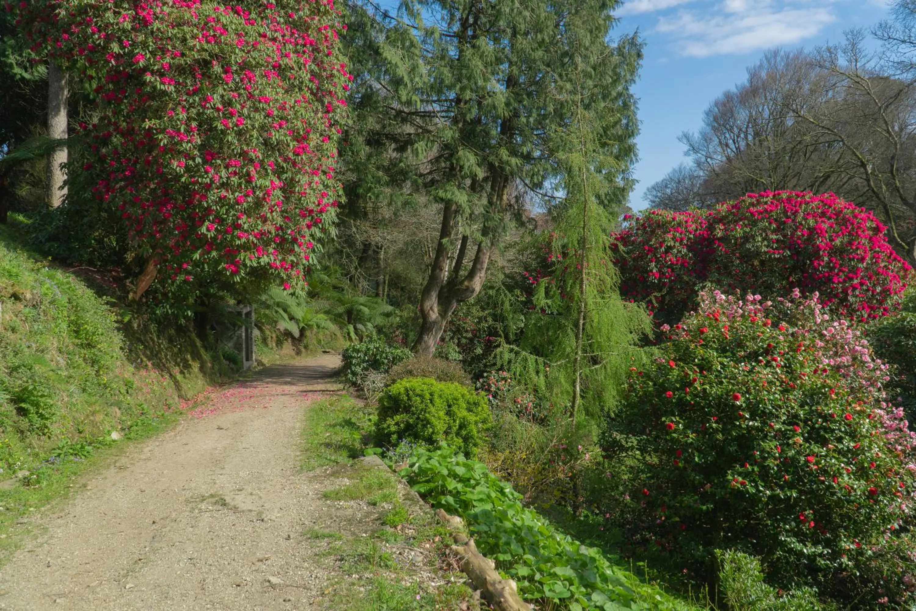 Garden in Hotel Meudon
