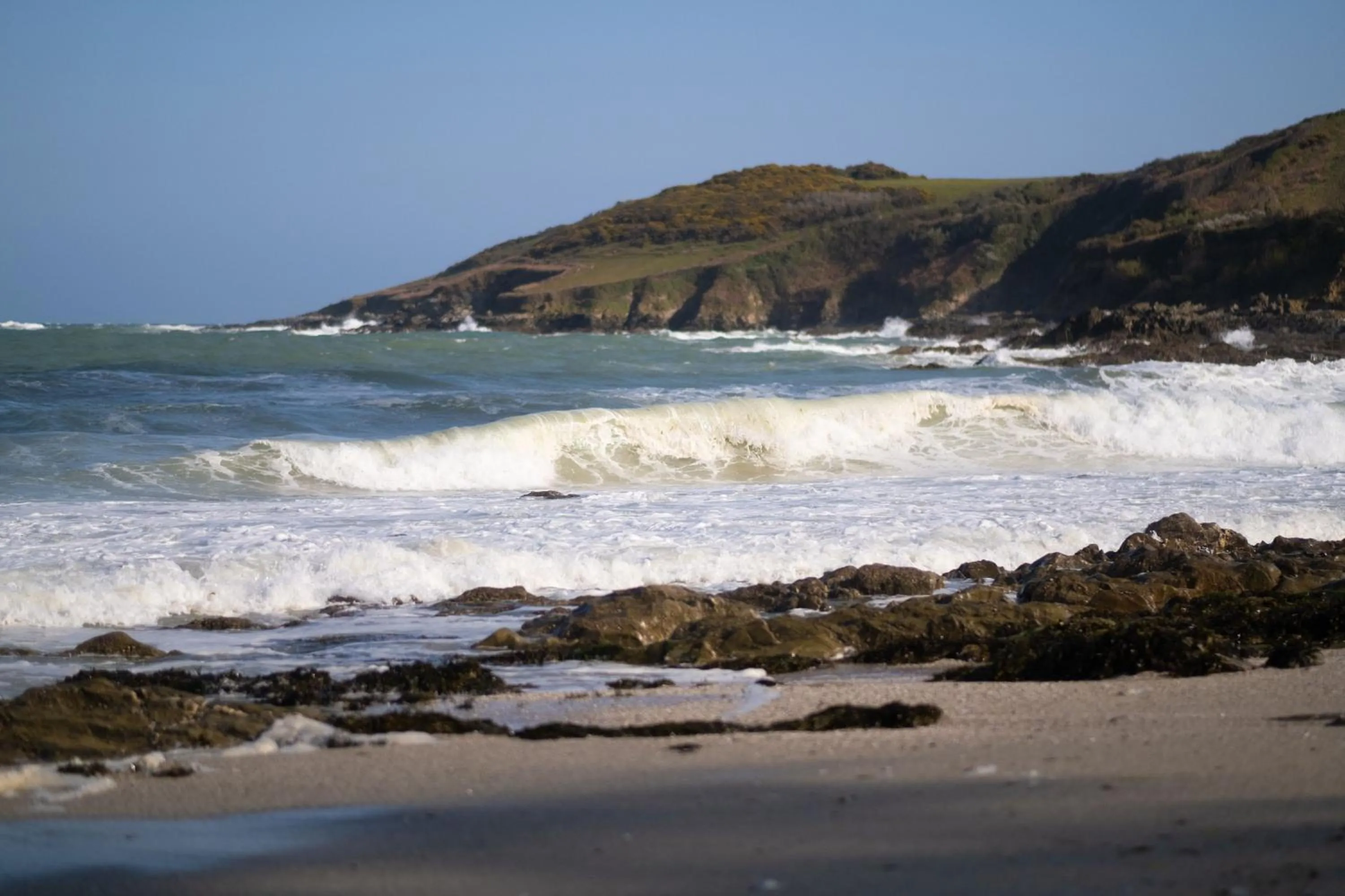 Natural landscape in Hotel Meudon