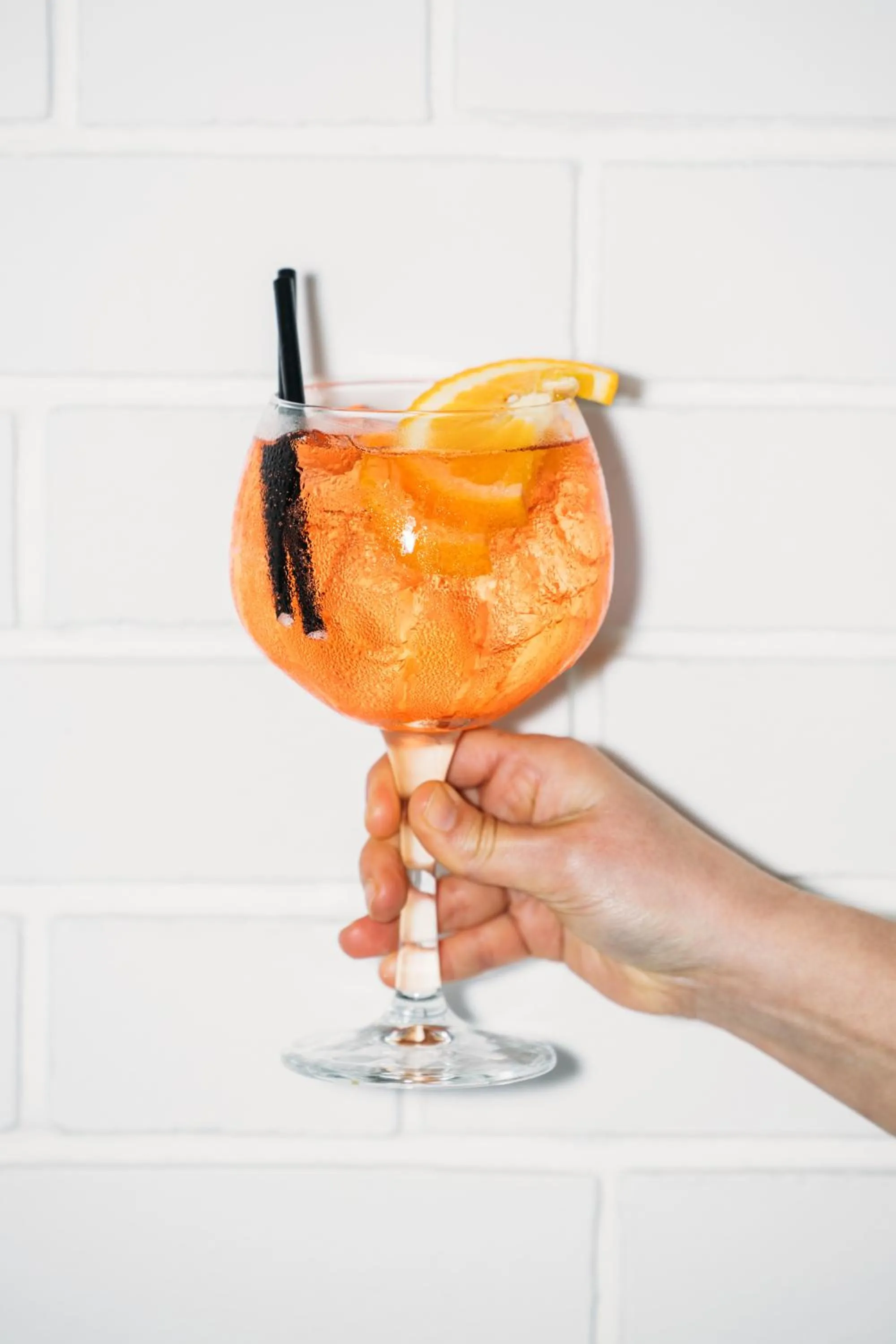 Drinks in Hotel Meudon