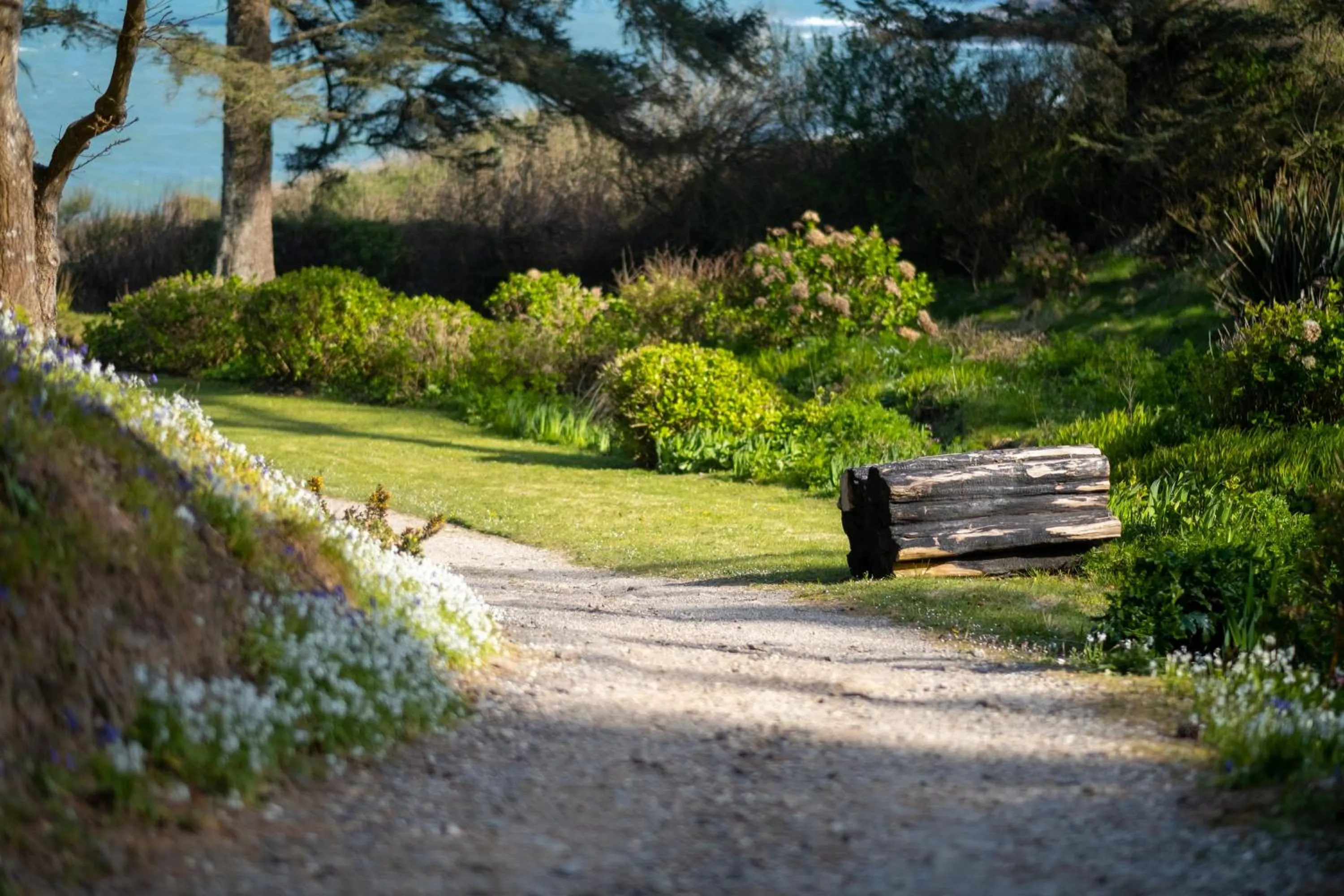Property building in Hotel Meudon
