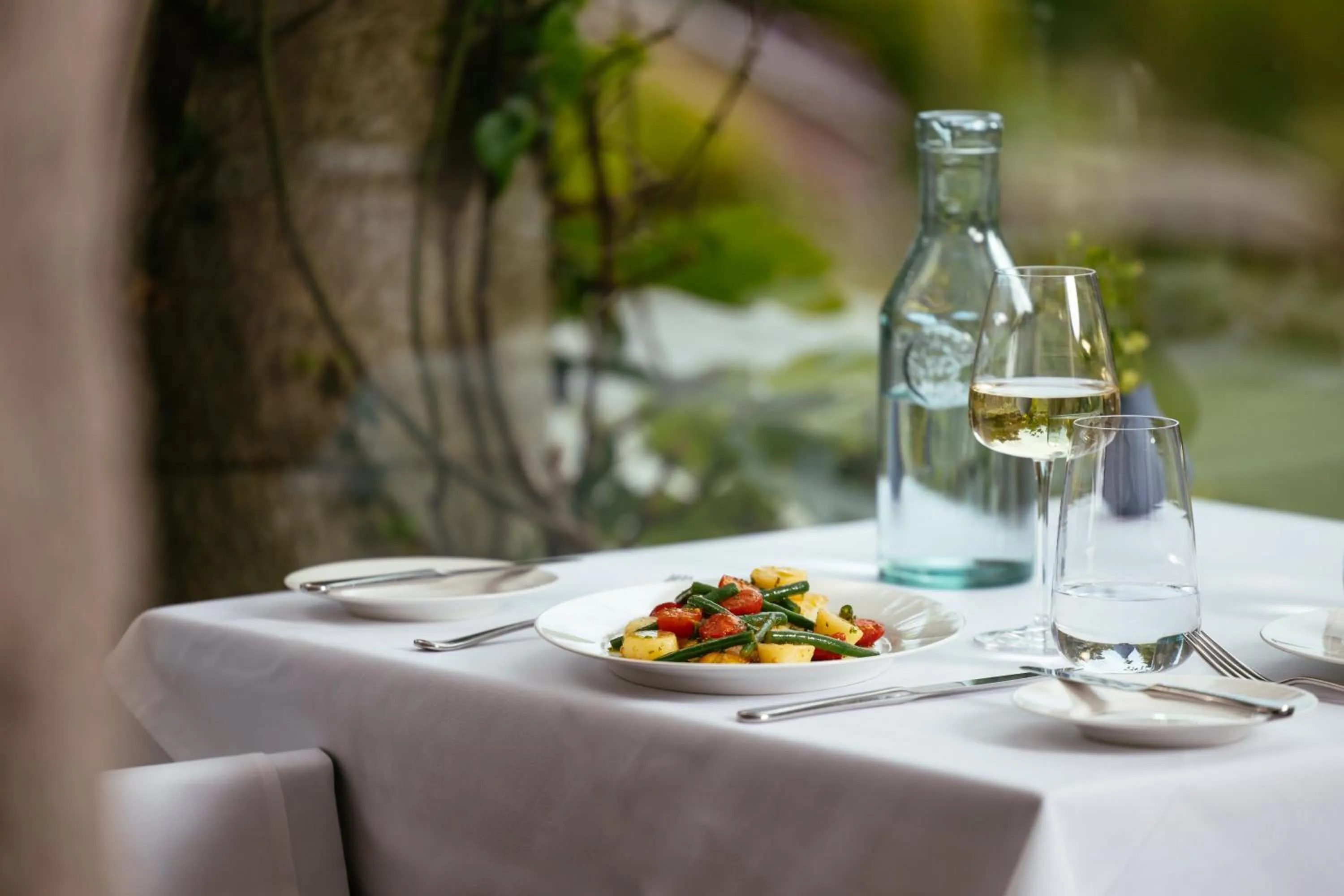 Garden in Hotel Meudon