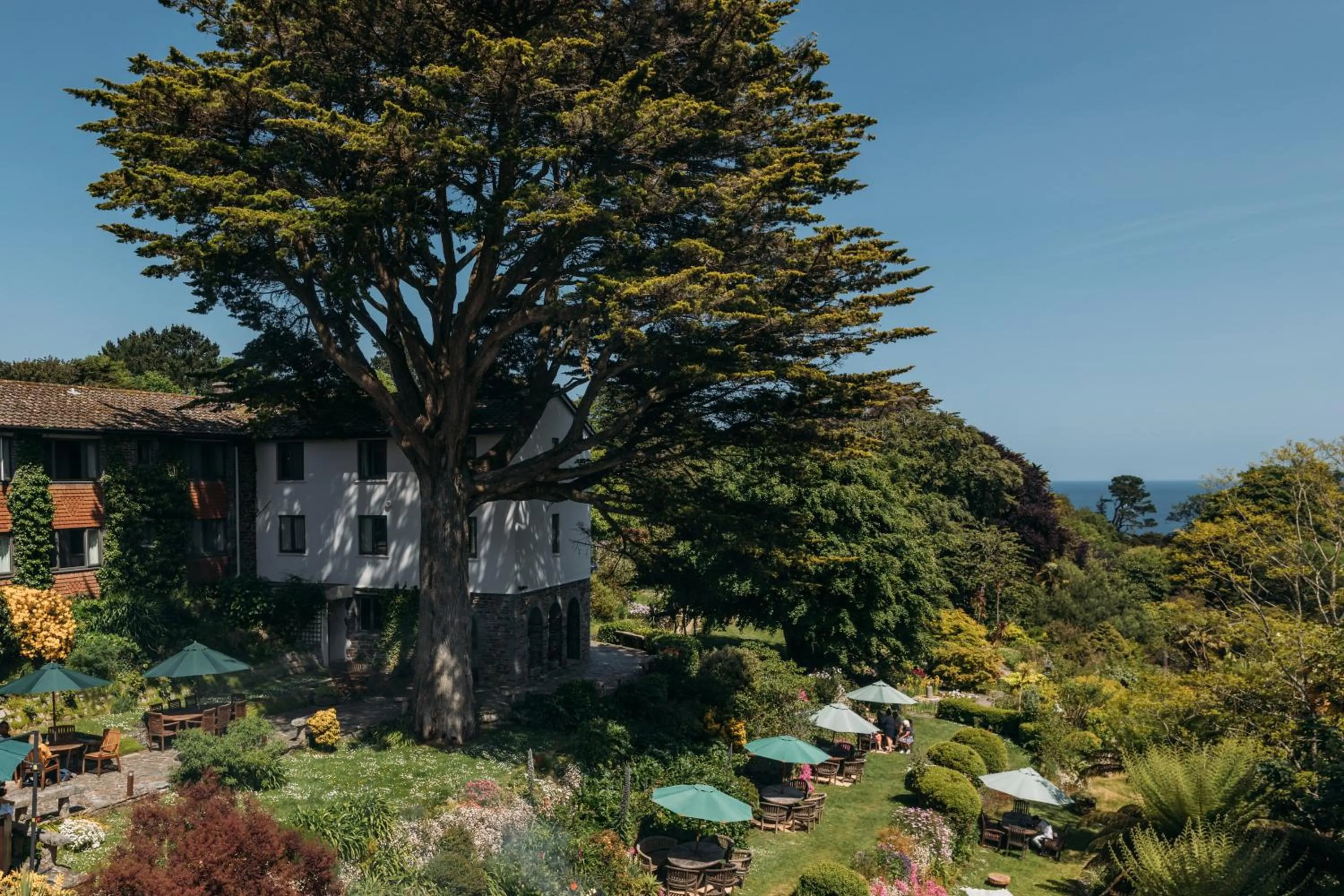 Garden in Hotel Meudon