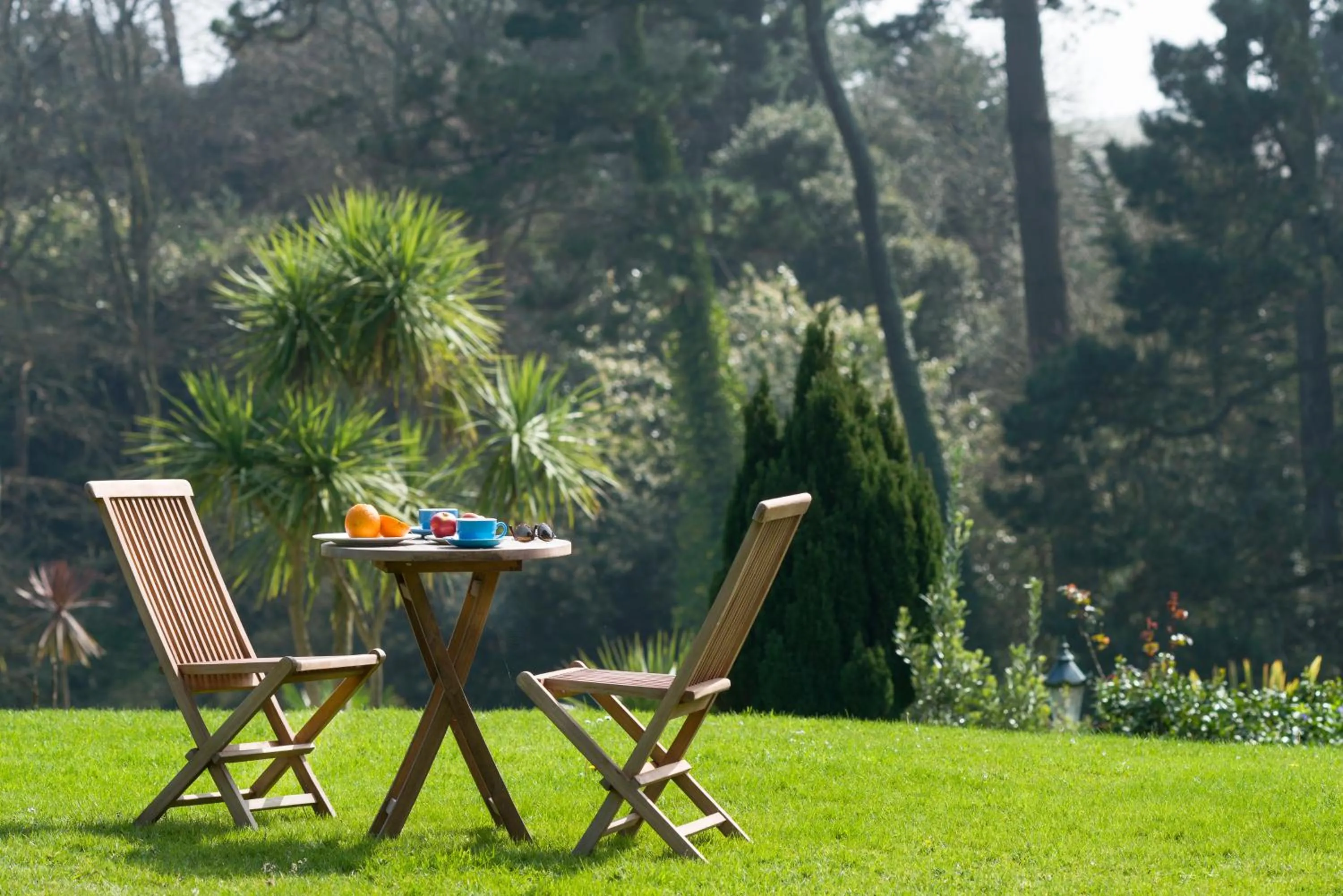Garden view in Hotel Meudon
