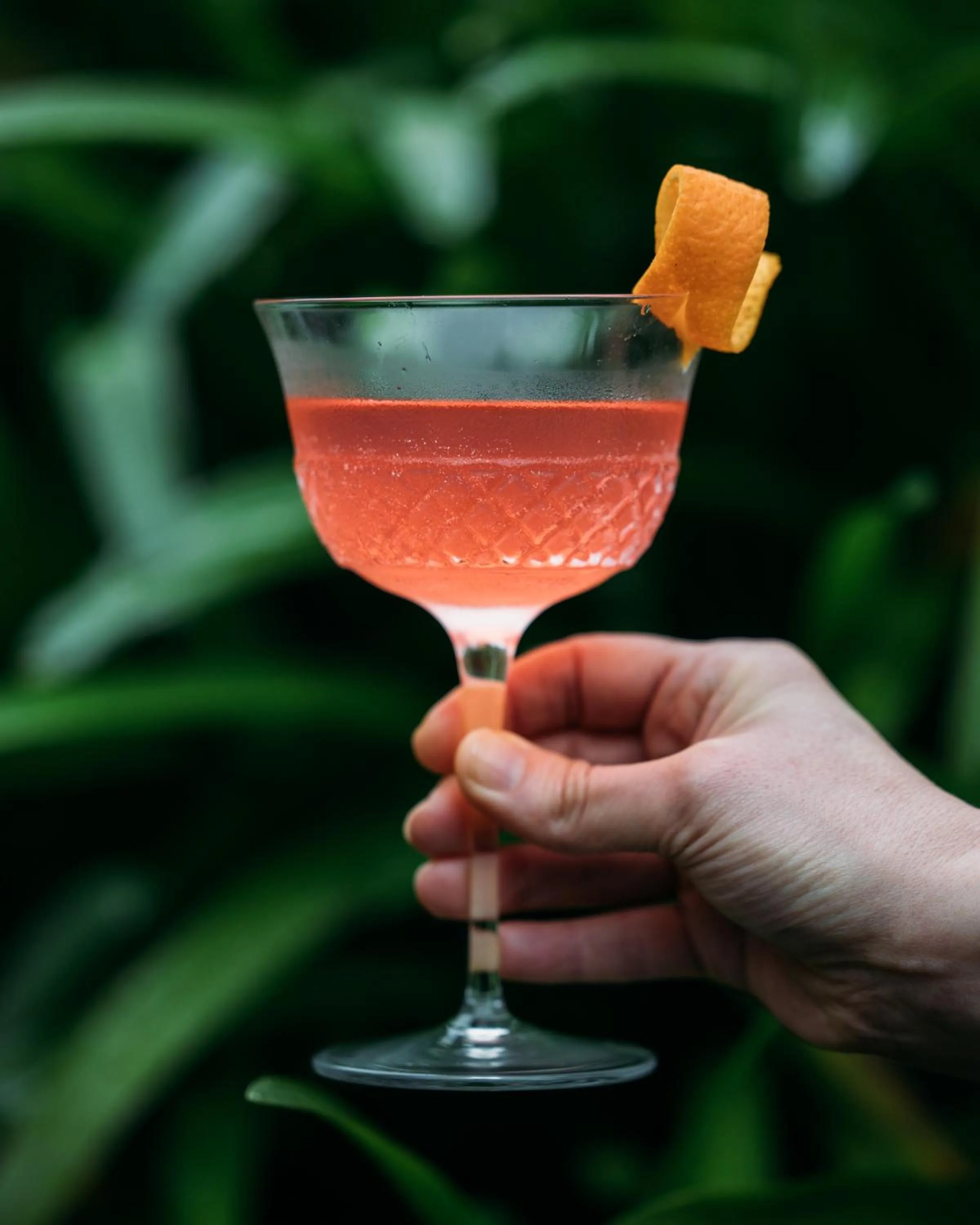 Food and drinks in Hotel Meudon