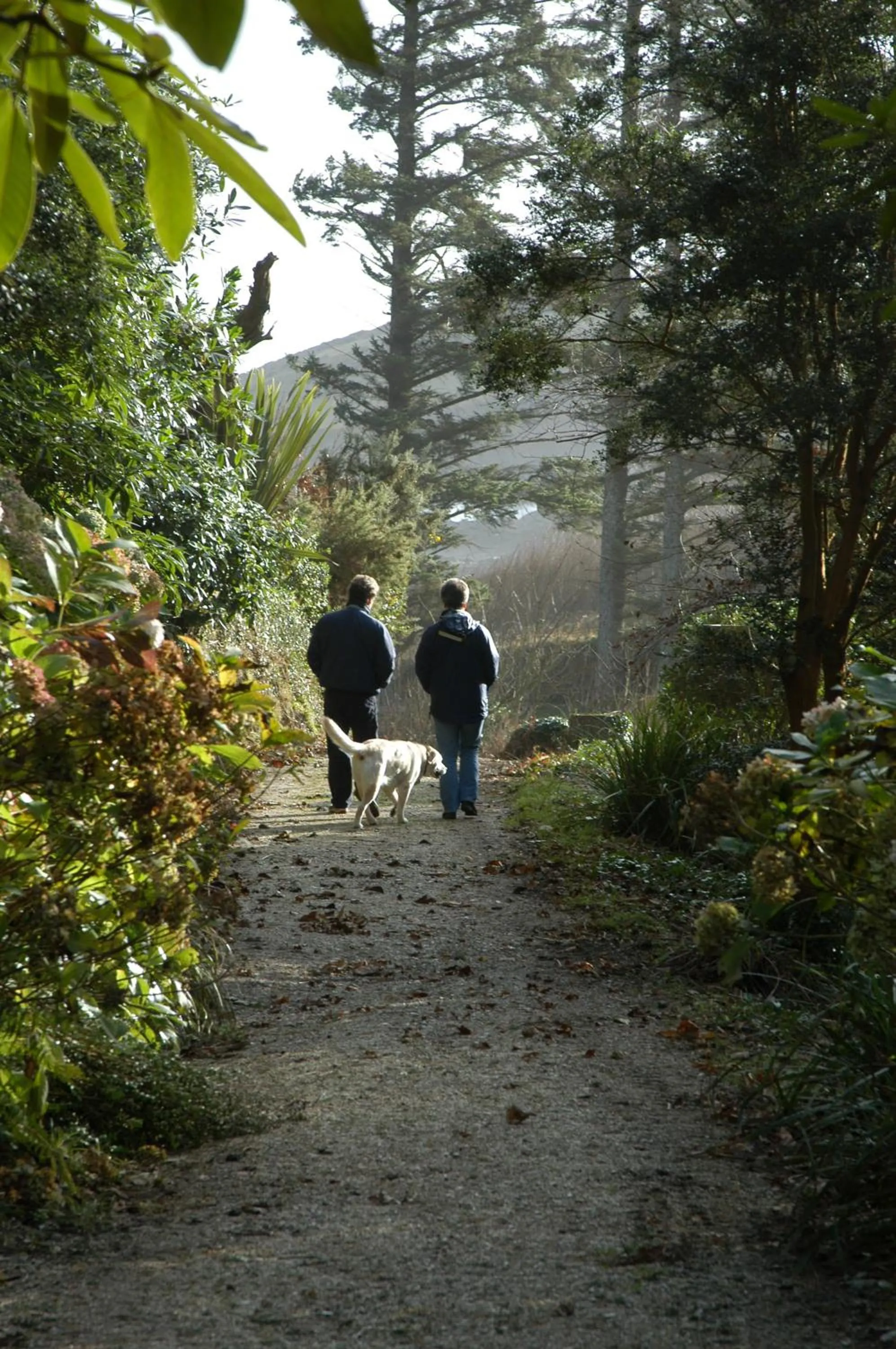 Pets in Hotel Meudon