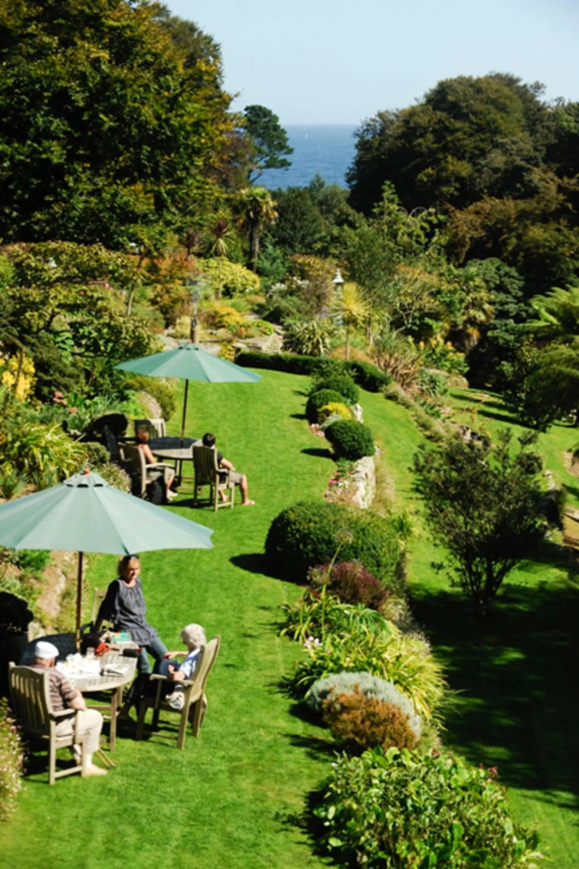 Garden in Hotel Meudon