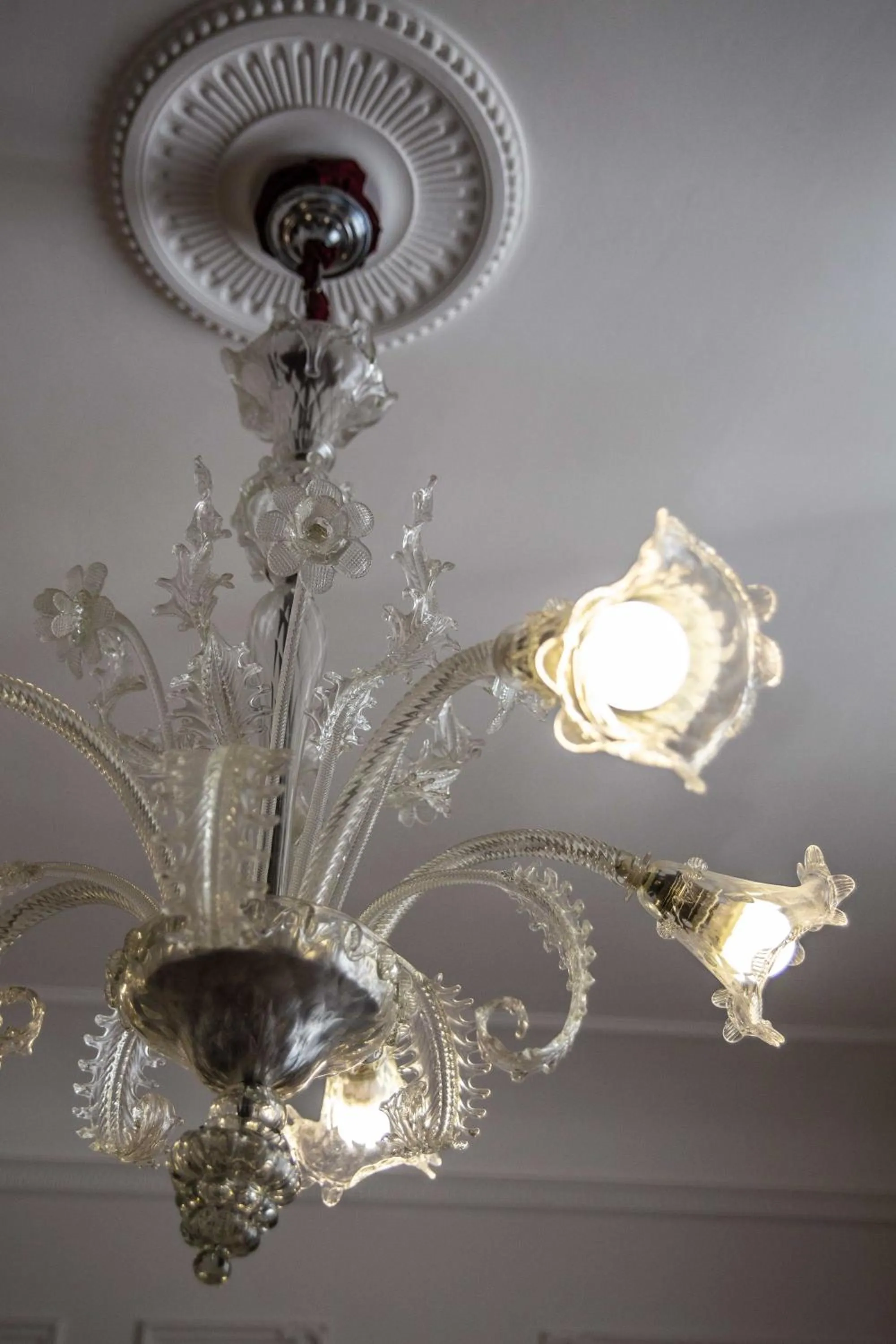 Stanze del David Place