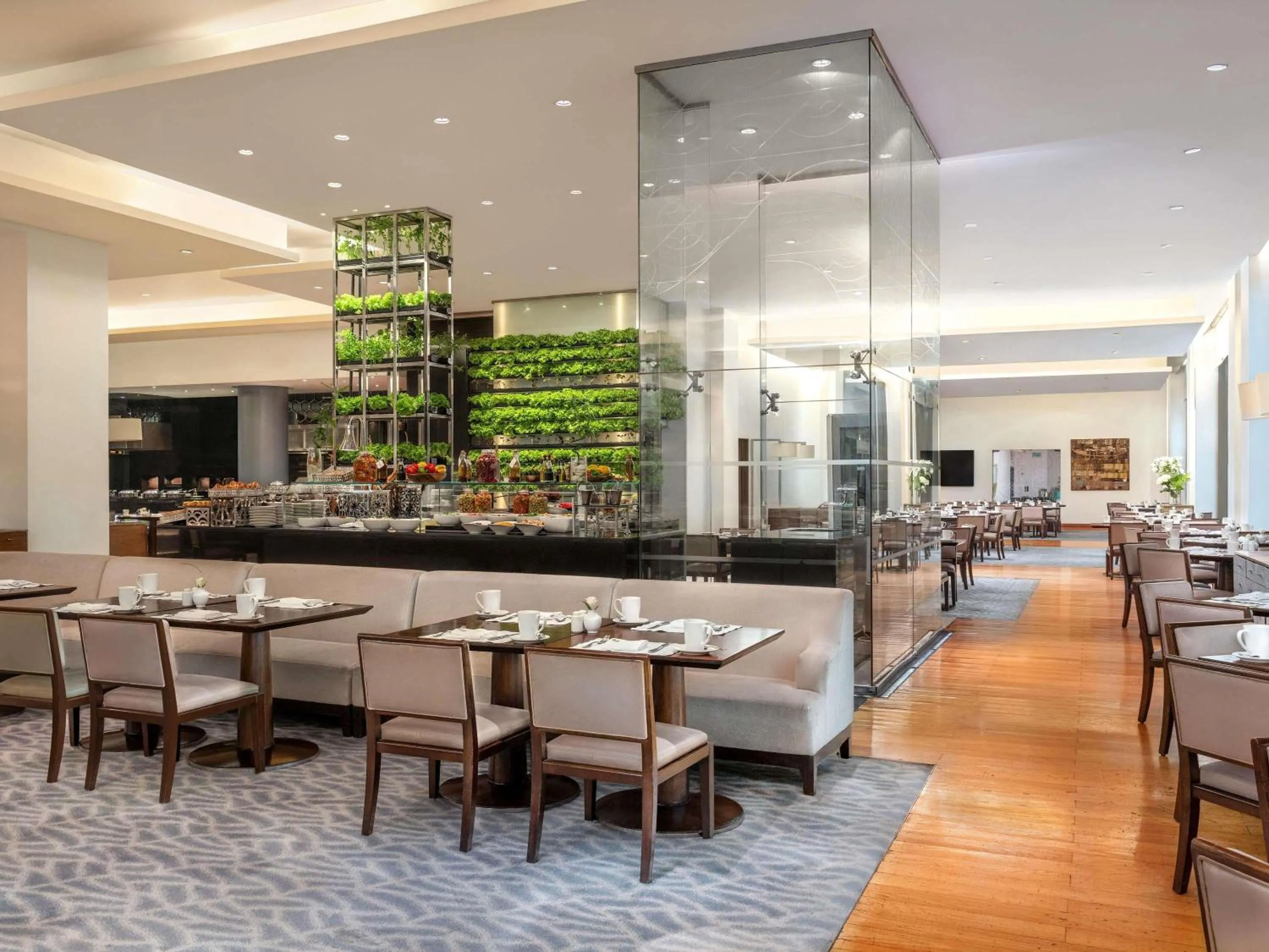 Restaurant/places to eat in Sofitel Cairo Downtown Nile