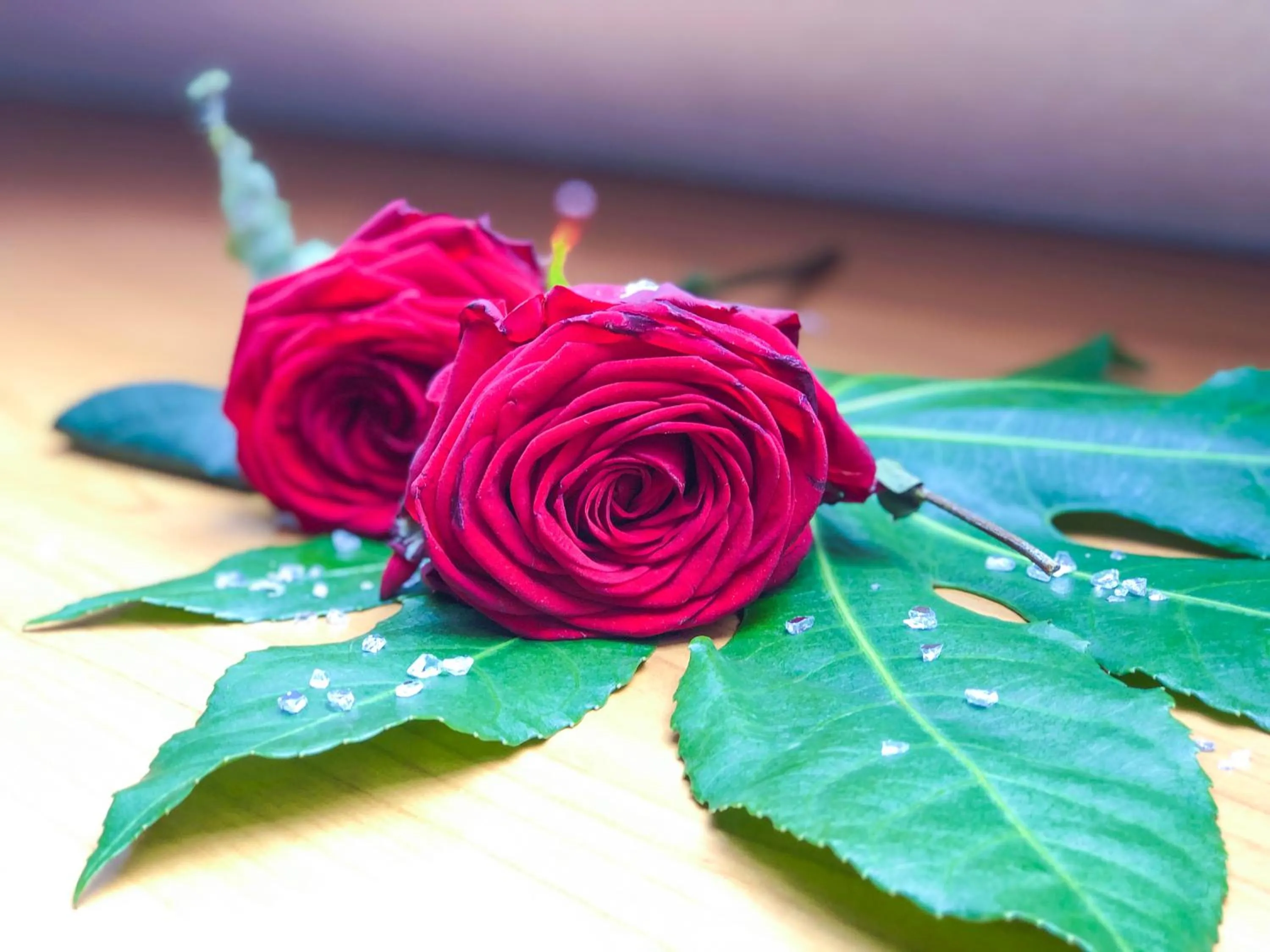 Decorative detail in Hotel Kaiser