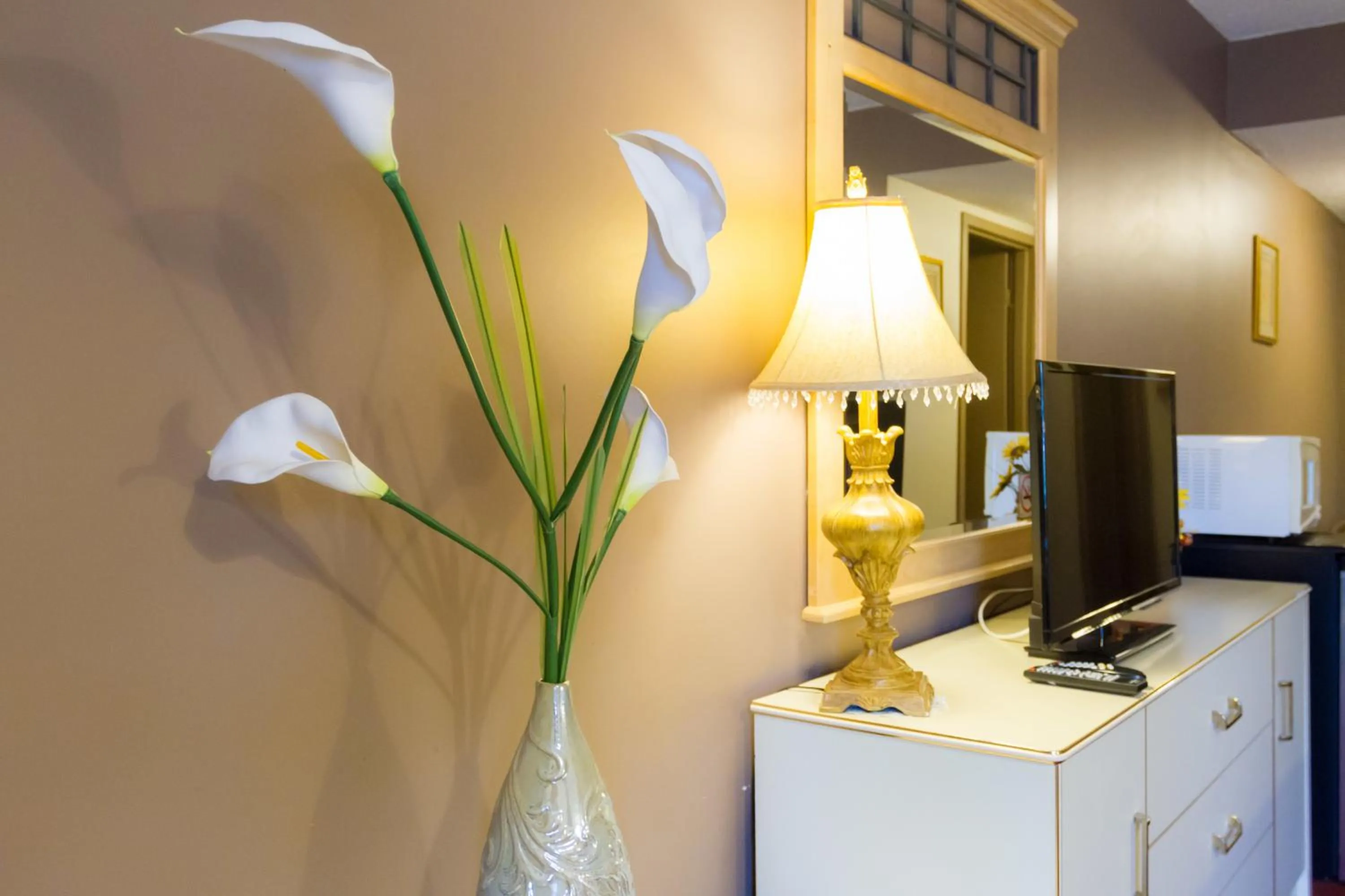 TV and multimedia in Niagara Falls Motor Lodge