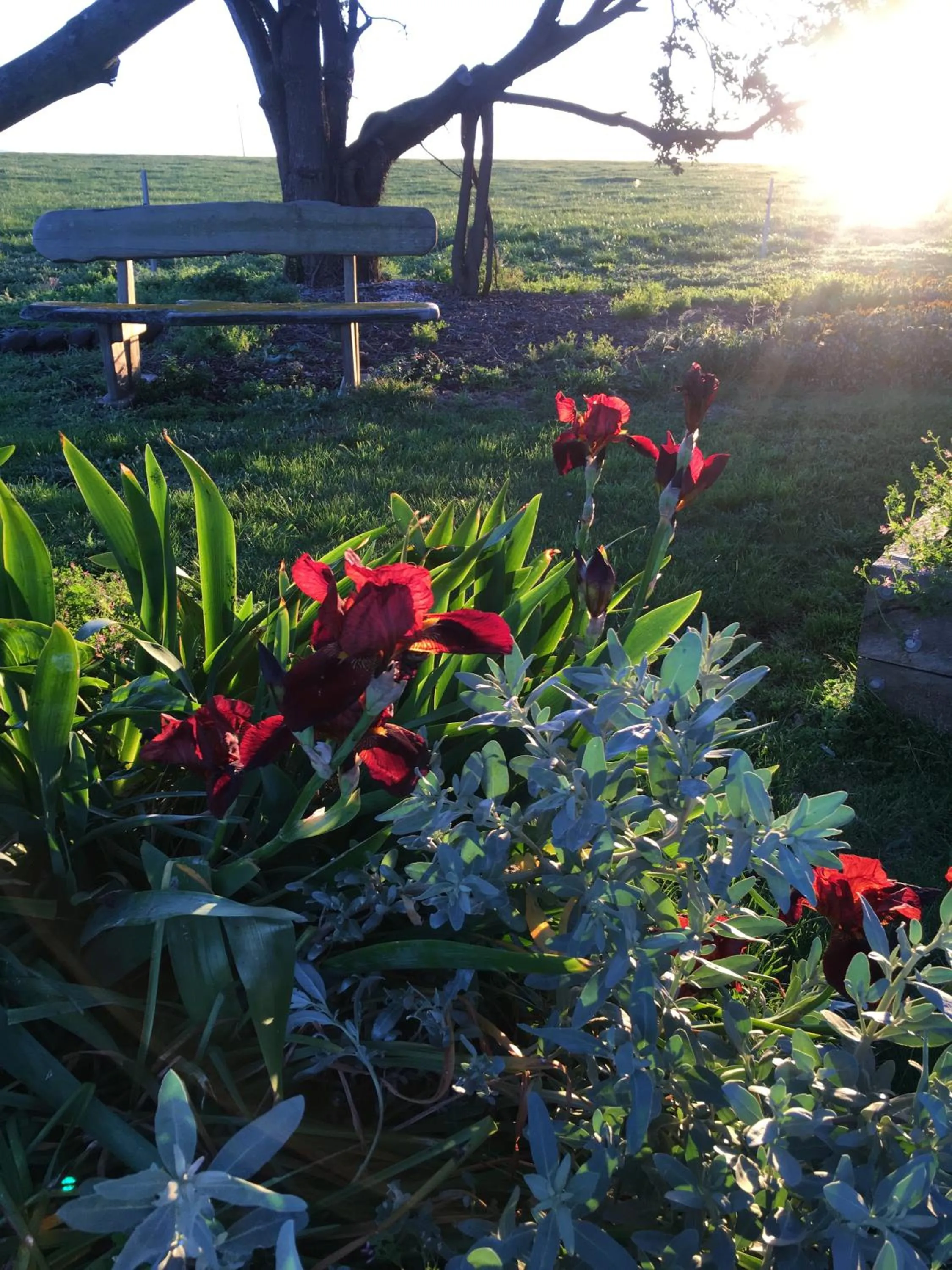 Garden in Cable Station Accommodation