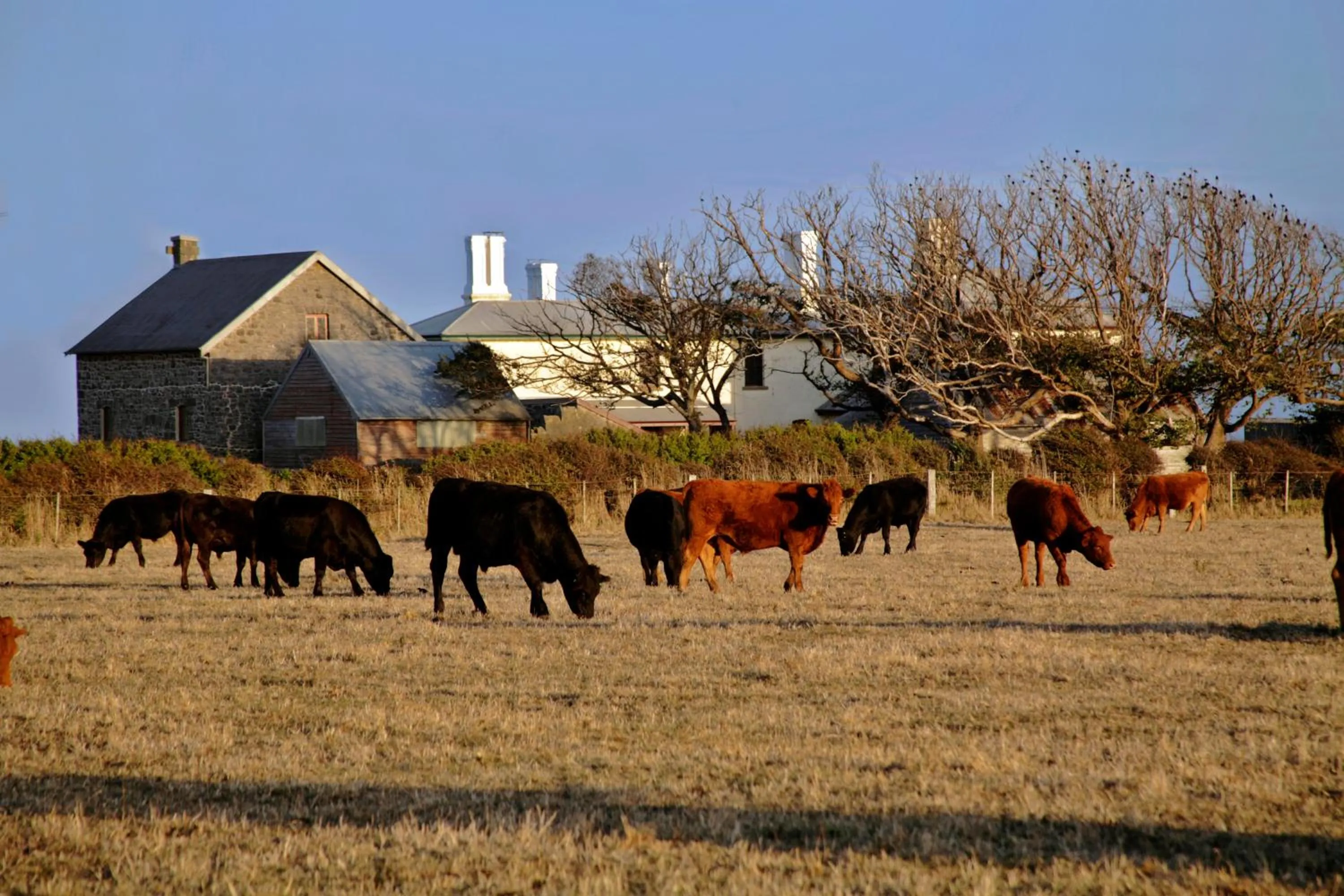 Natural landscape in Cable Station Accommodation