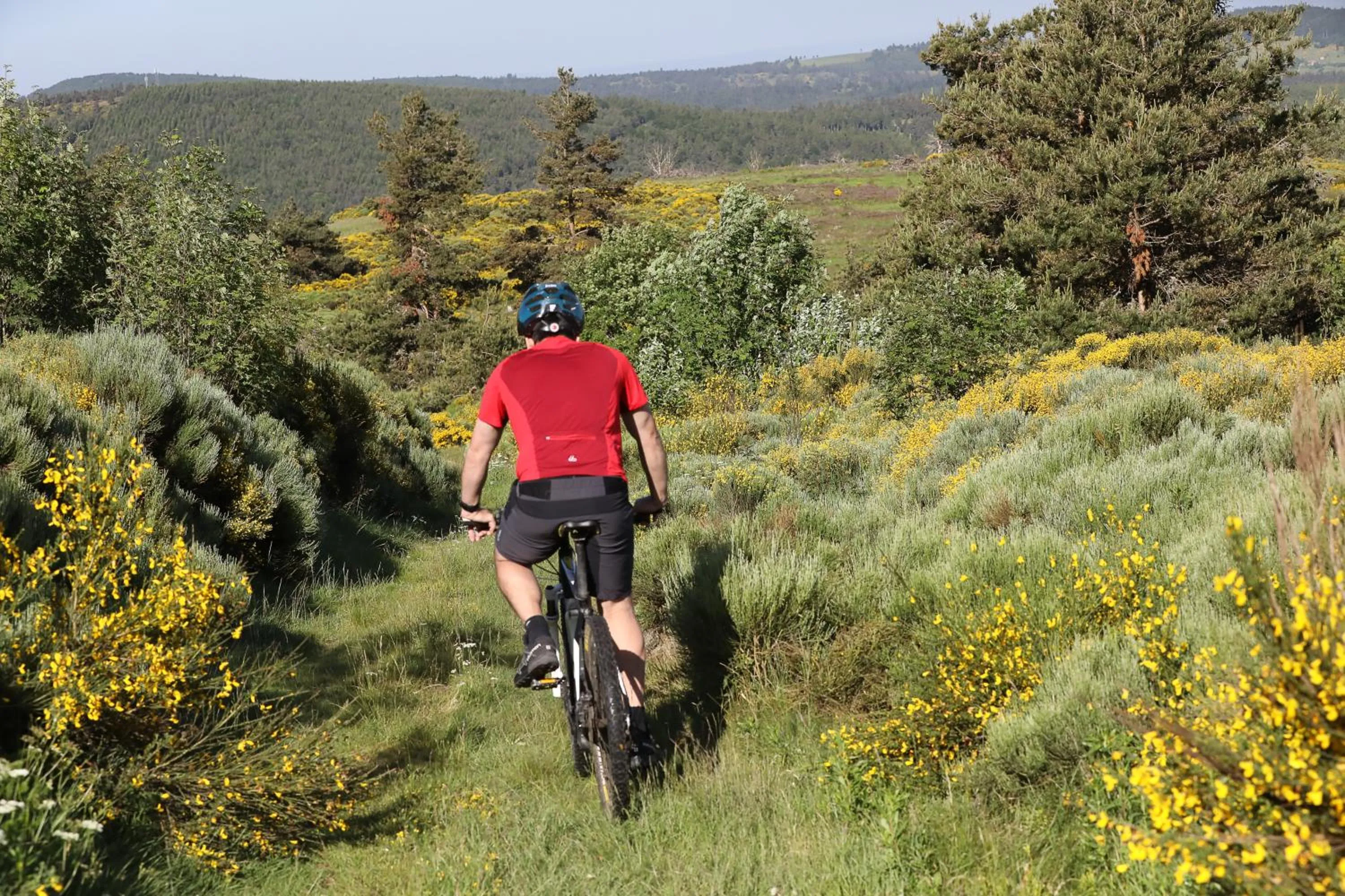 Logis Hotel Spa Restaurant Le Provence