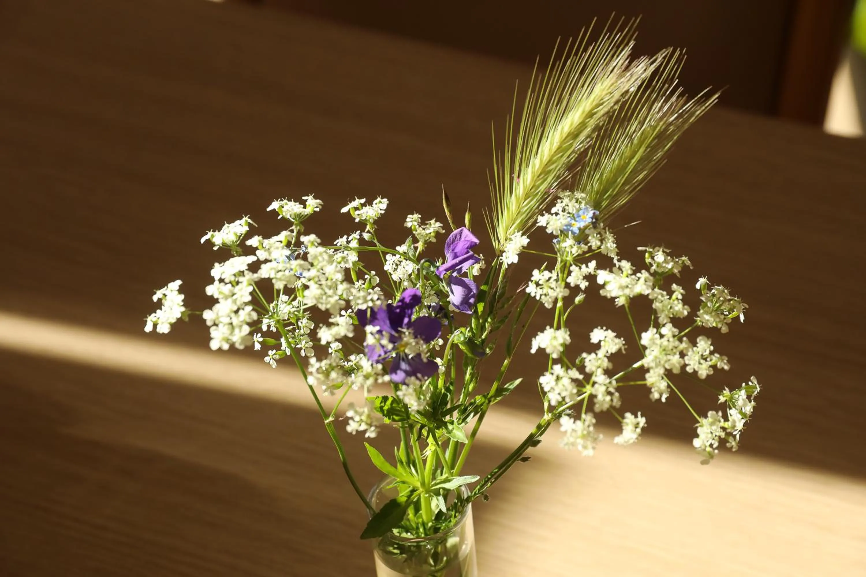 Logis Hotel Spa Restaurant Le Provence