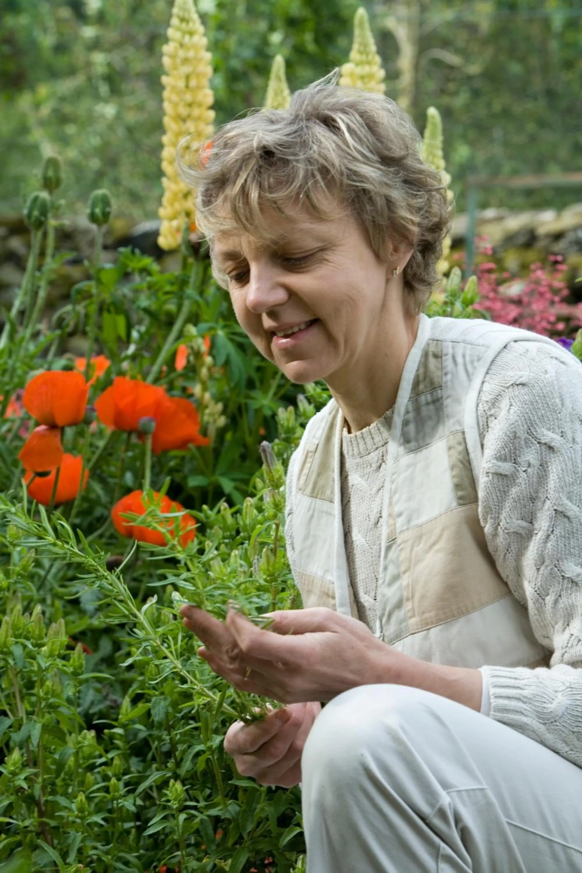 Other in Logis Hotel Spa Restaurant Le Provence