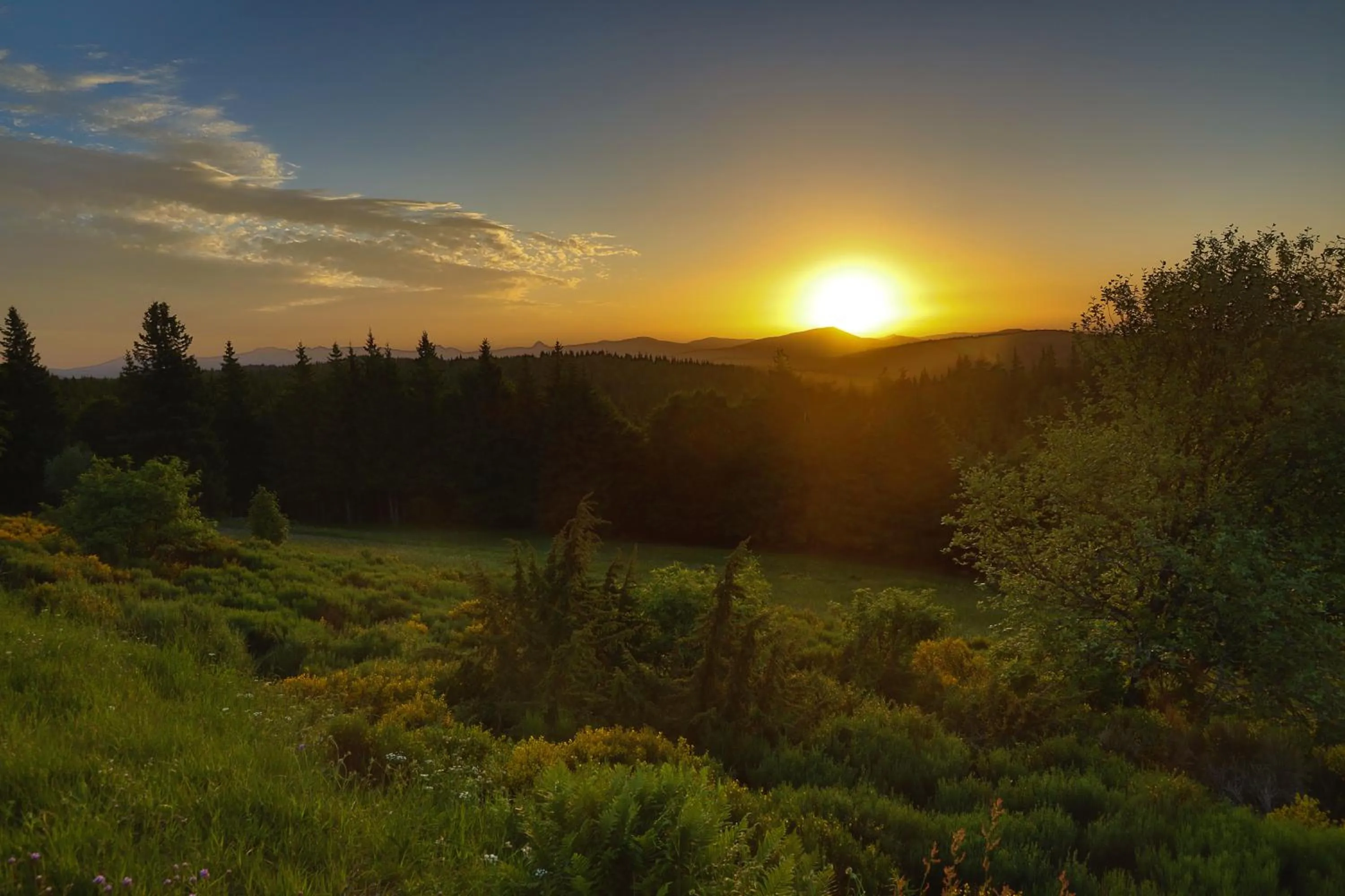 Logis Hotel Spa Restaurant Le Provence