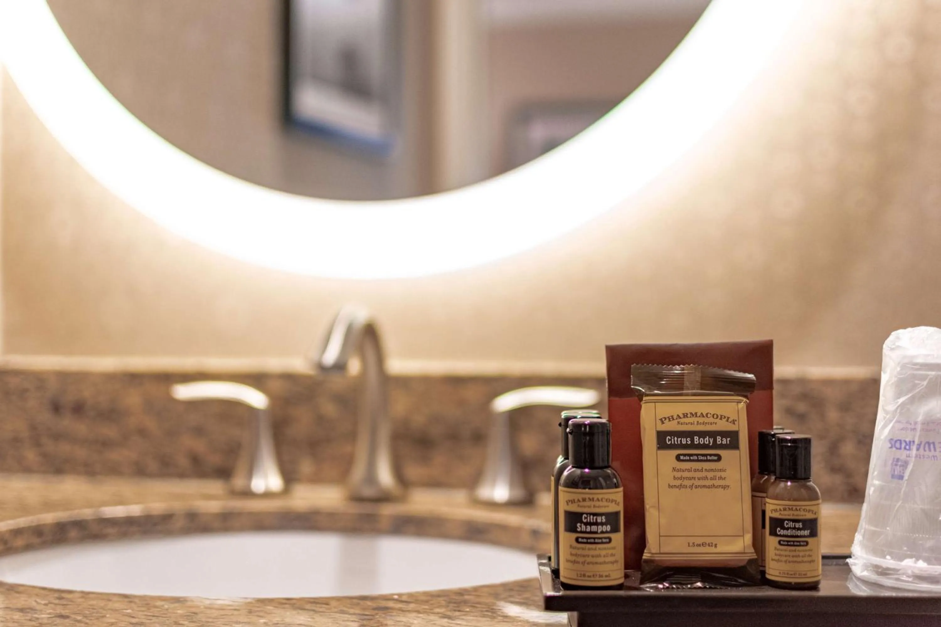 Bathroom in Best Western Plus Suites Hotel Coronado Island