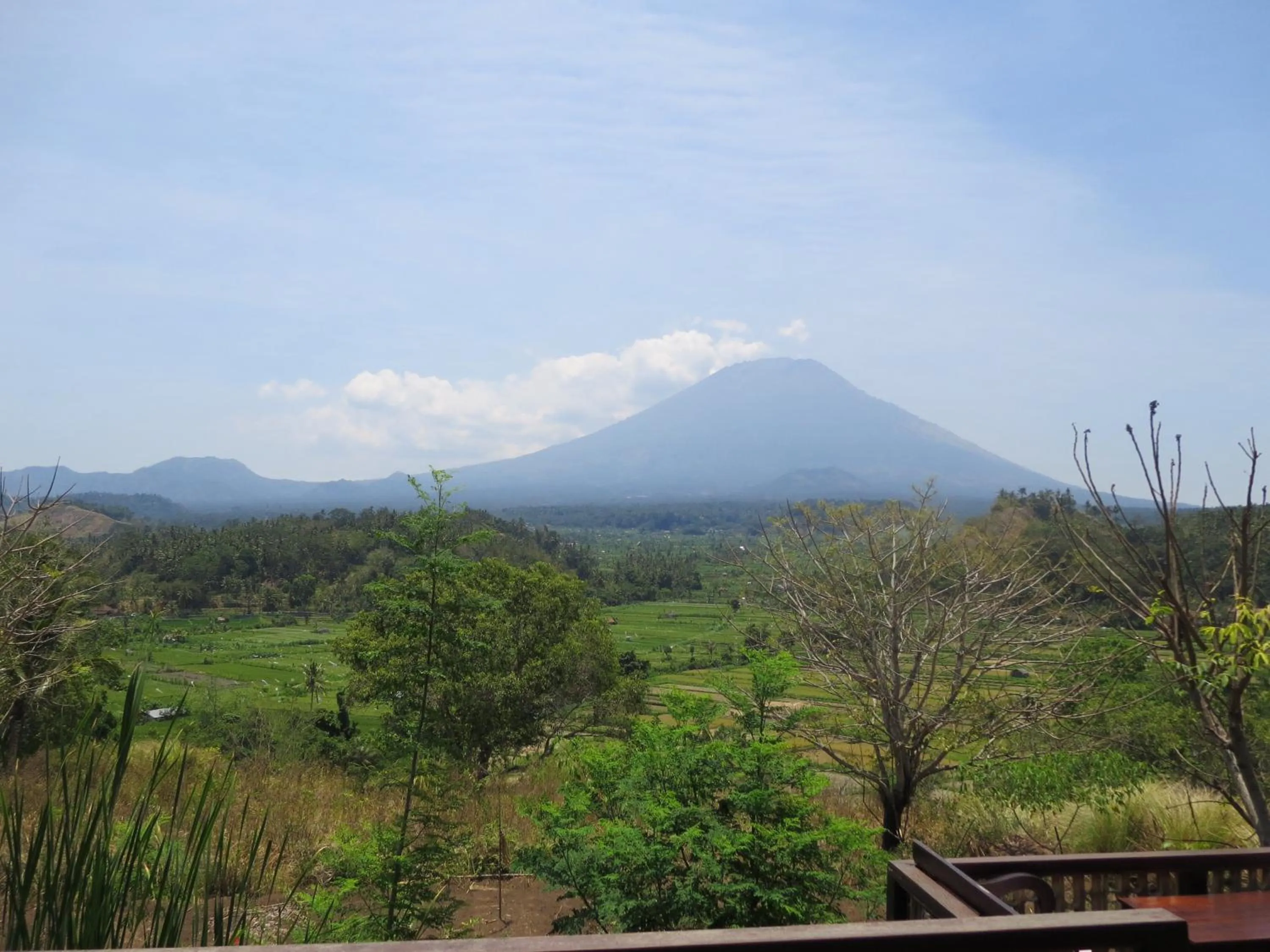 Animals in Aashaya Jasri Resort