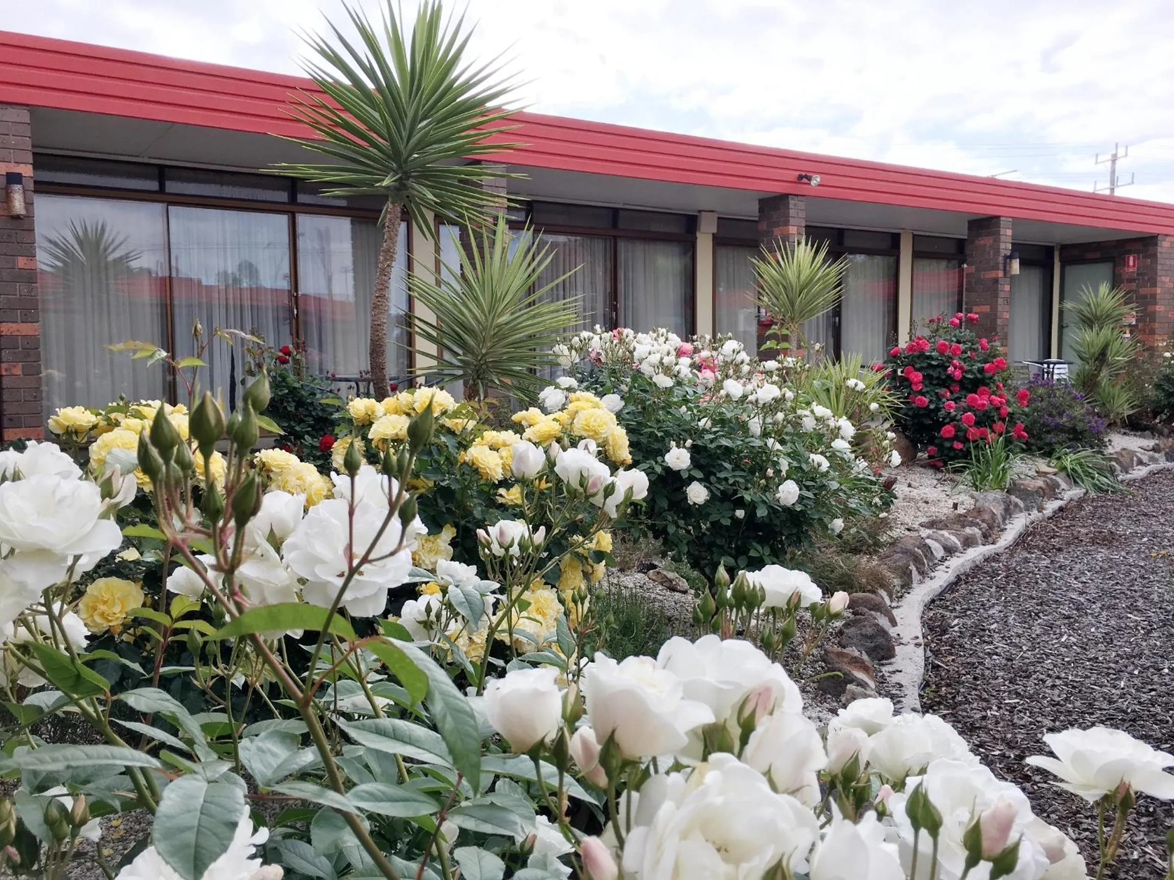 Garden in Statesman Motor Inn