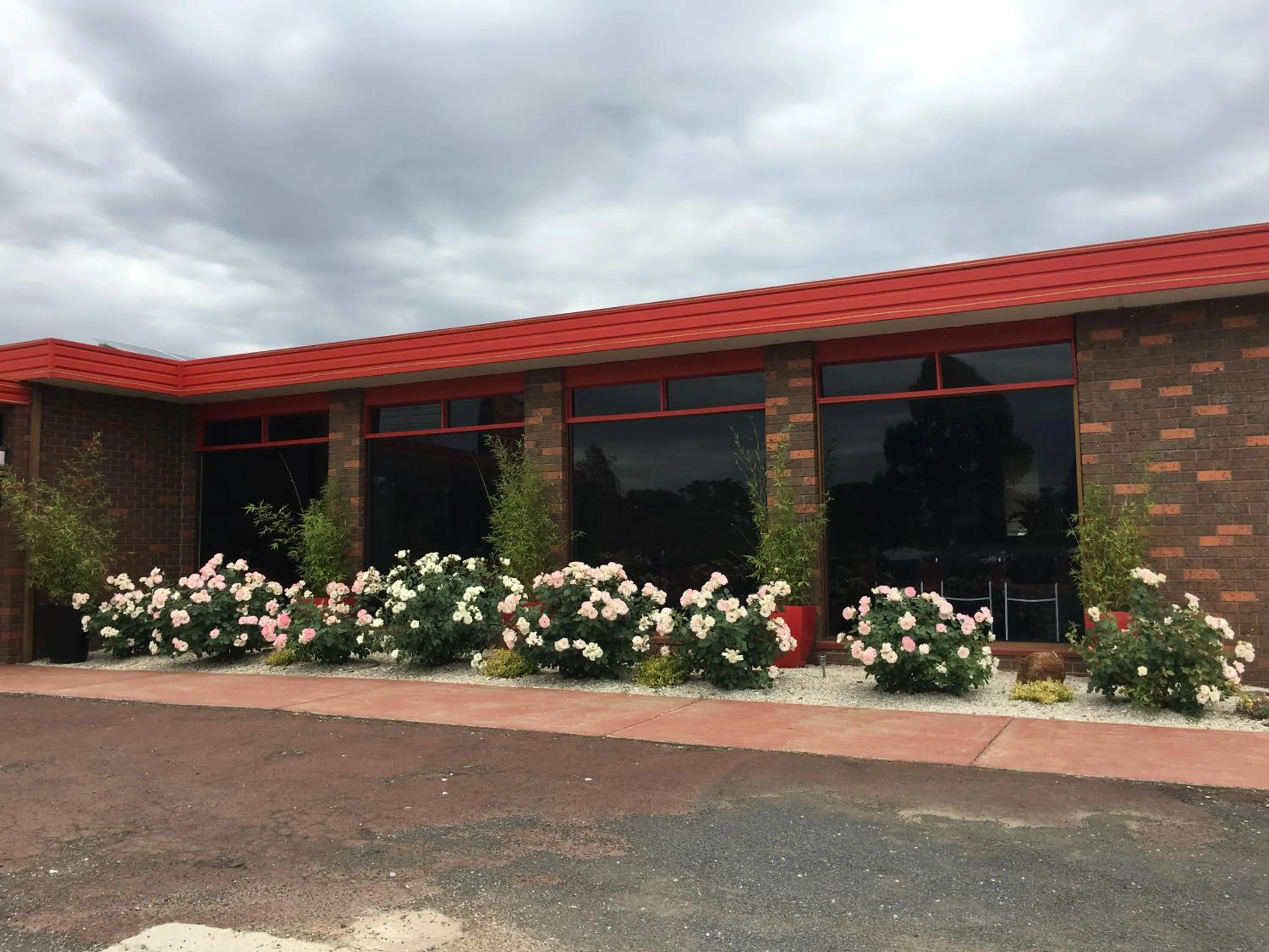 Garden in Statesman Motor Inn