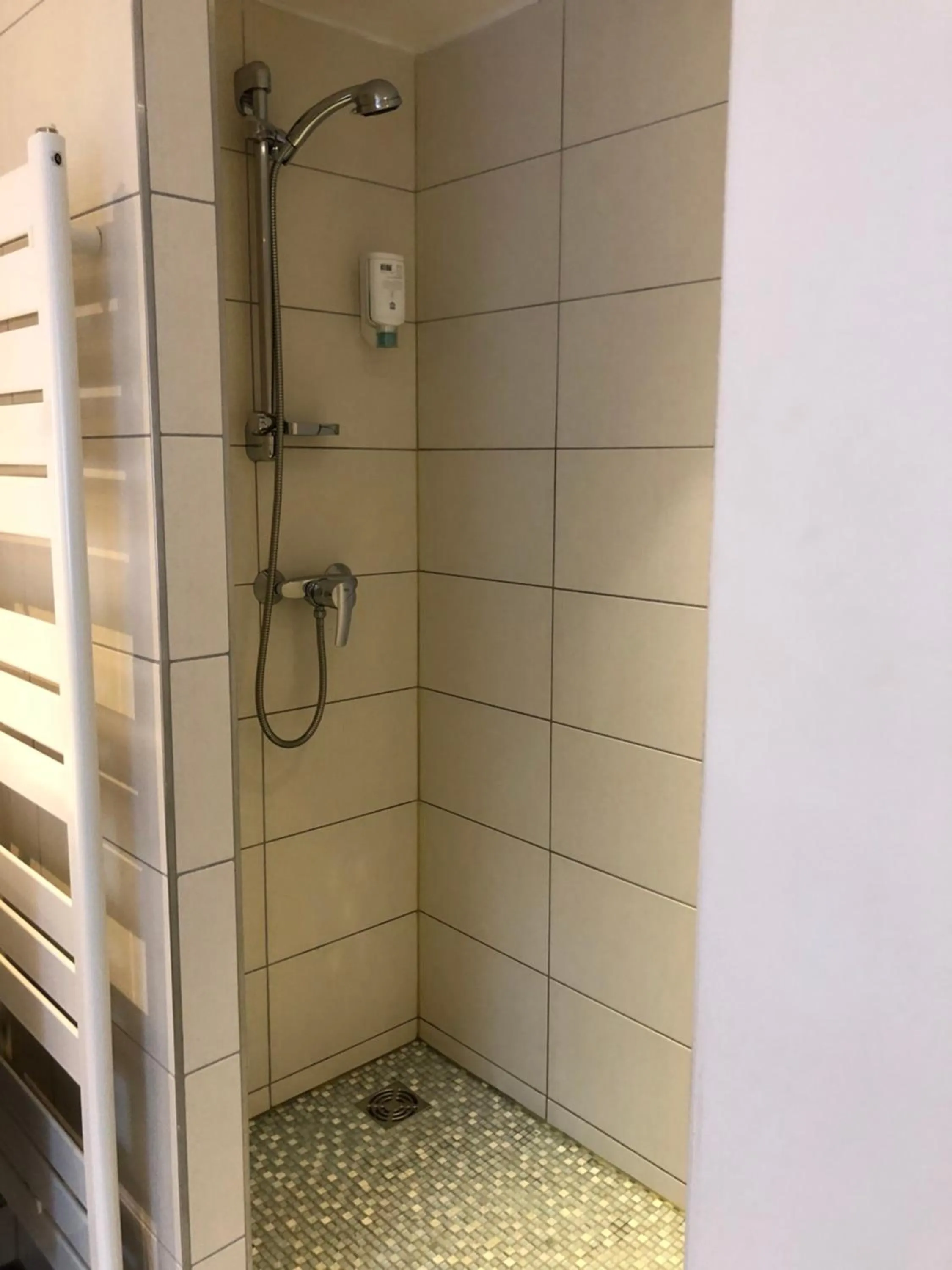 Shower in Hotel SPA Au Cheval Blanc