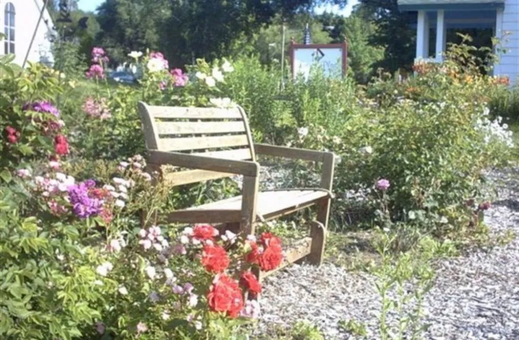 Other in Lucy's Place