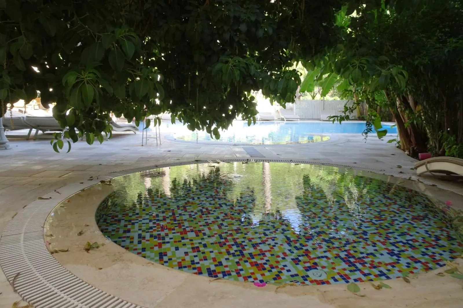 Pool view in Petunya Konak Boutique Hotel