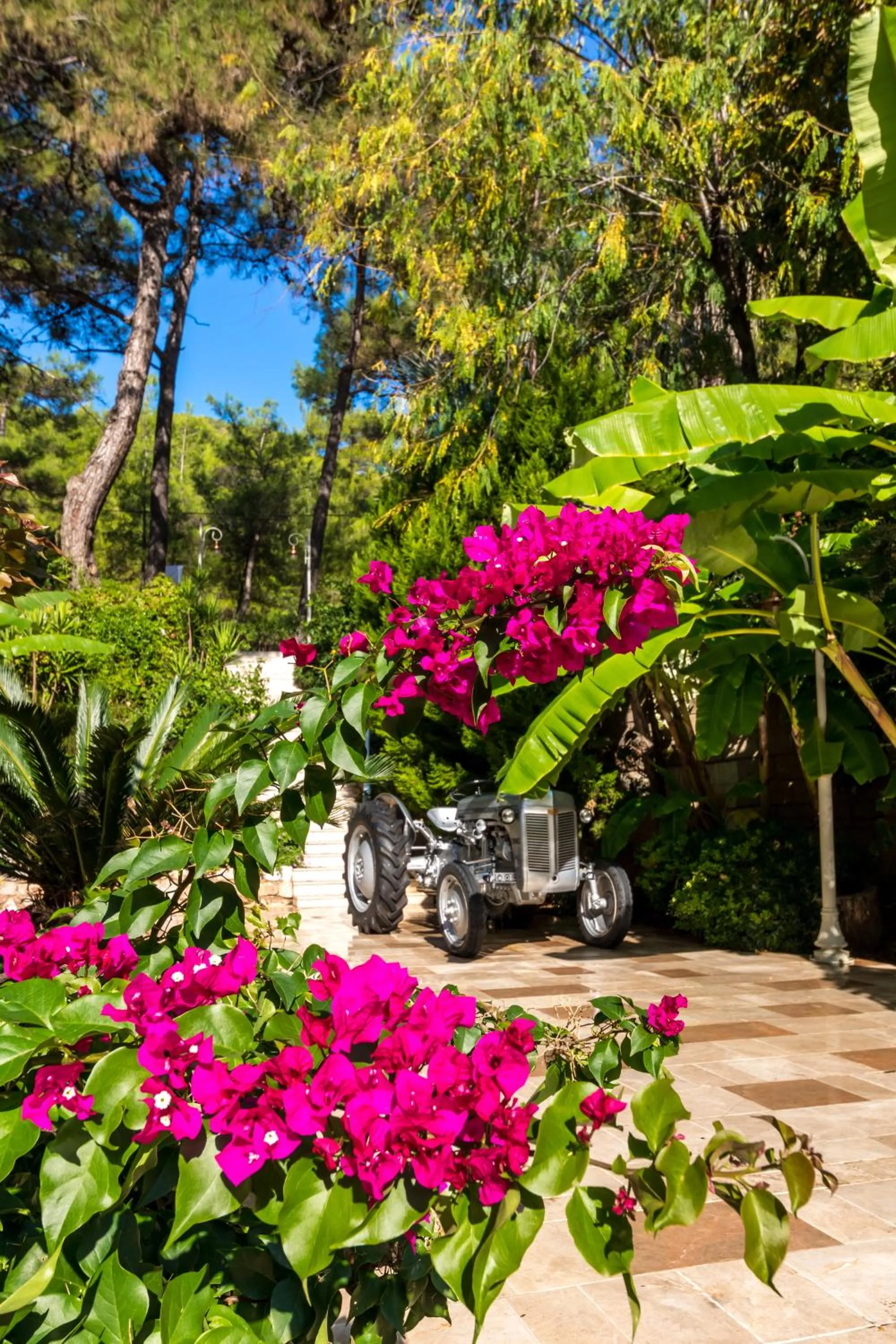 Facade/entrance in Petunya Konak Boutique Hotel